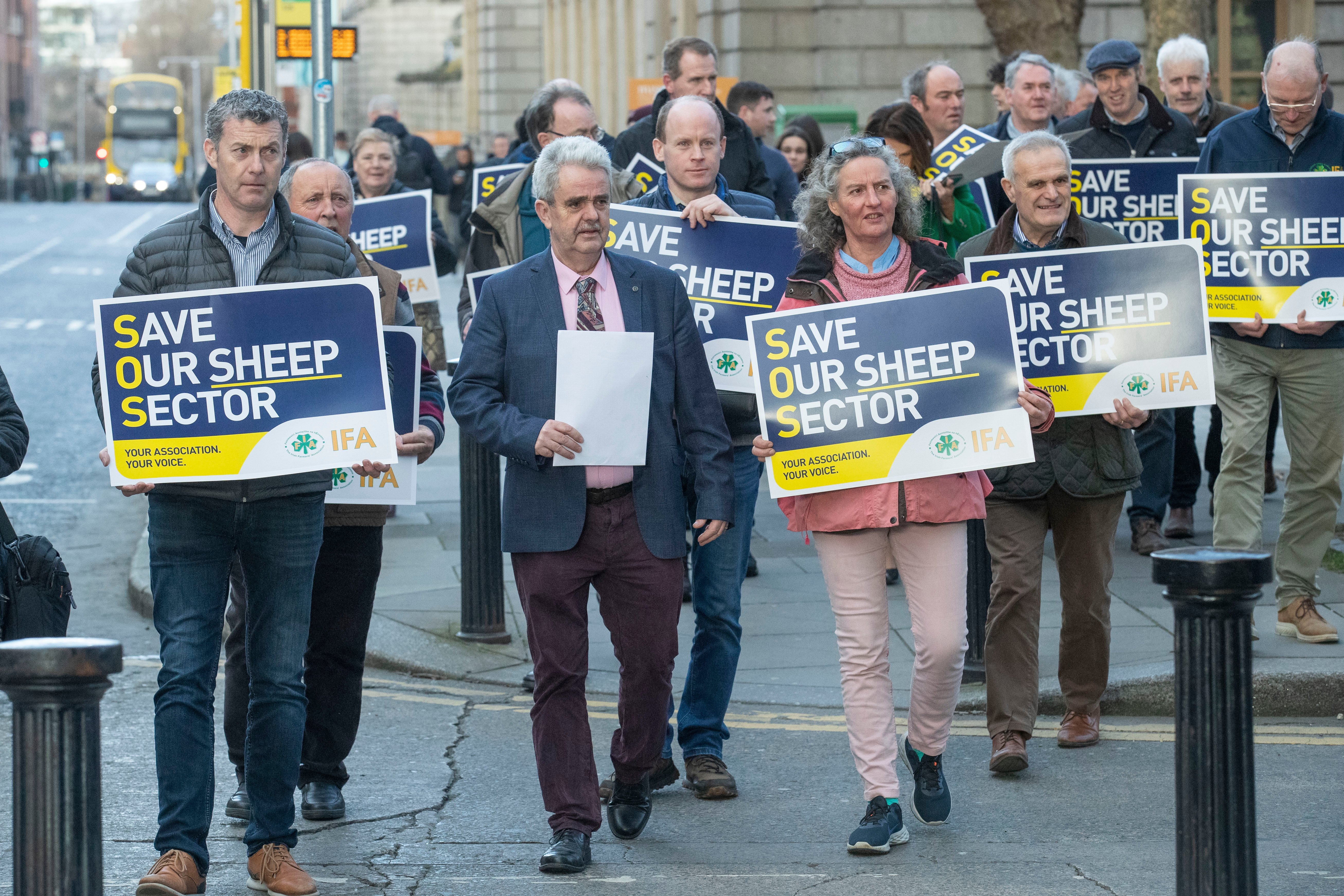 Members of the IFA National Sheep Committee in Dublin today Image: IFA