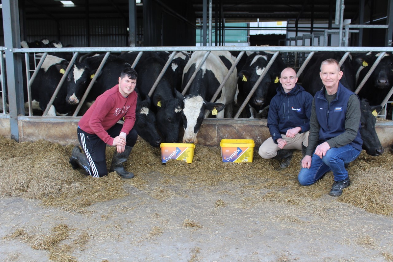 John O’Shaughnessy (farmer), Luke Morgan (Caltech Crystalyx), James Higgins (Kerry Agribusiness, Askeaton)