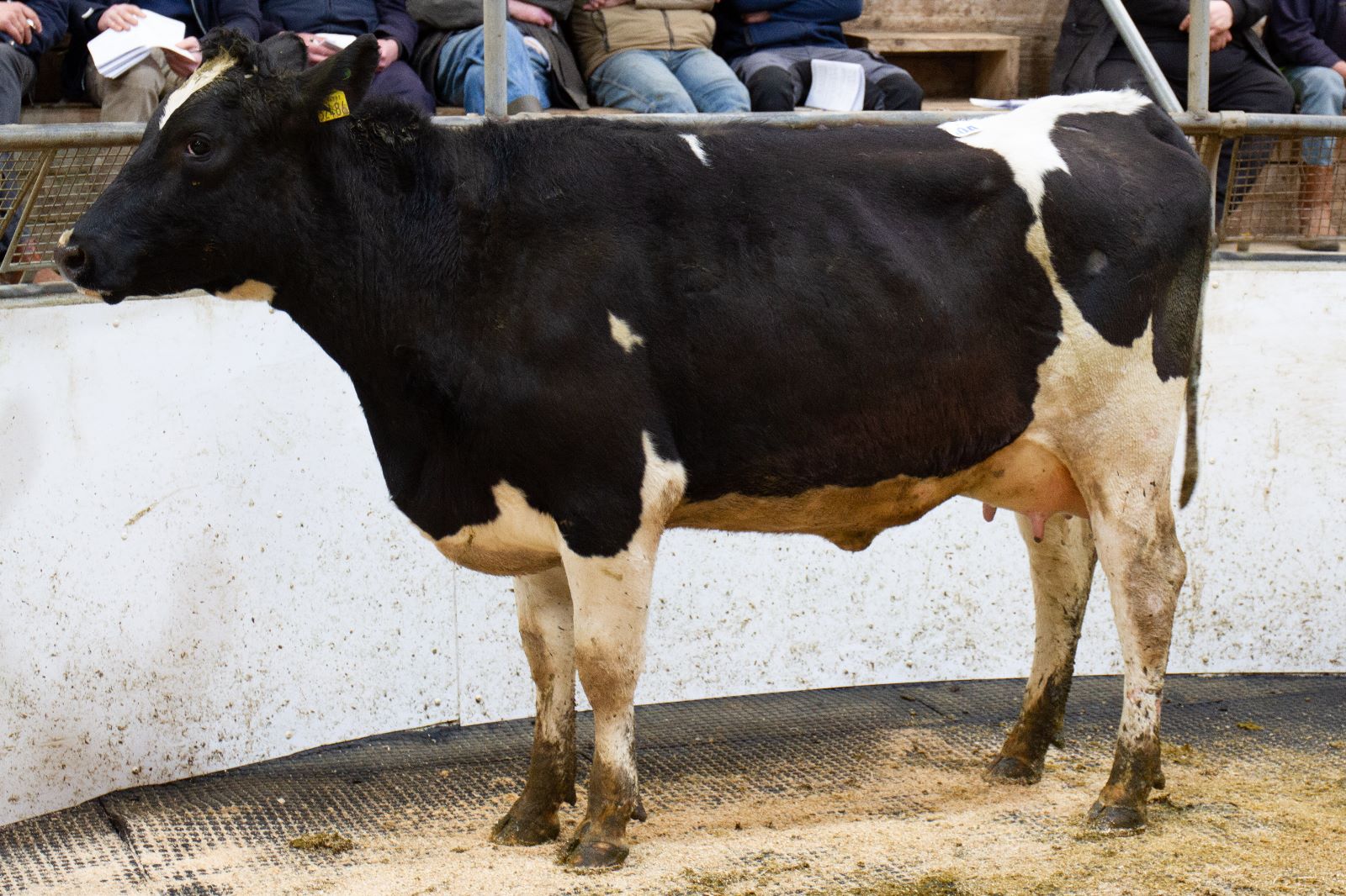 Lot 10A sold for €3,850