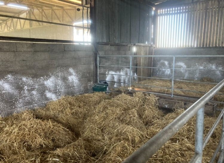 Pens ready for the arrival of calves