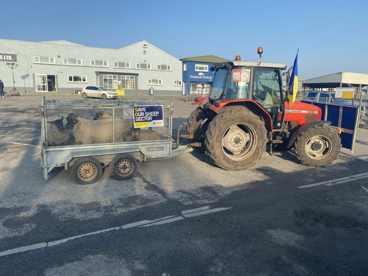 IFA sheep protest in Roscommon