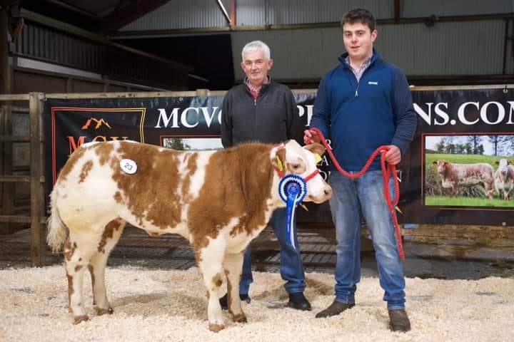 The Reserve Overall Champion heifer was exhibited by Dara Walker and sold for £4,350