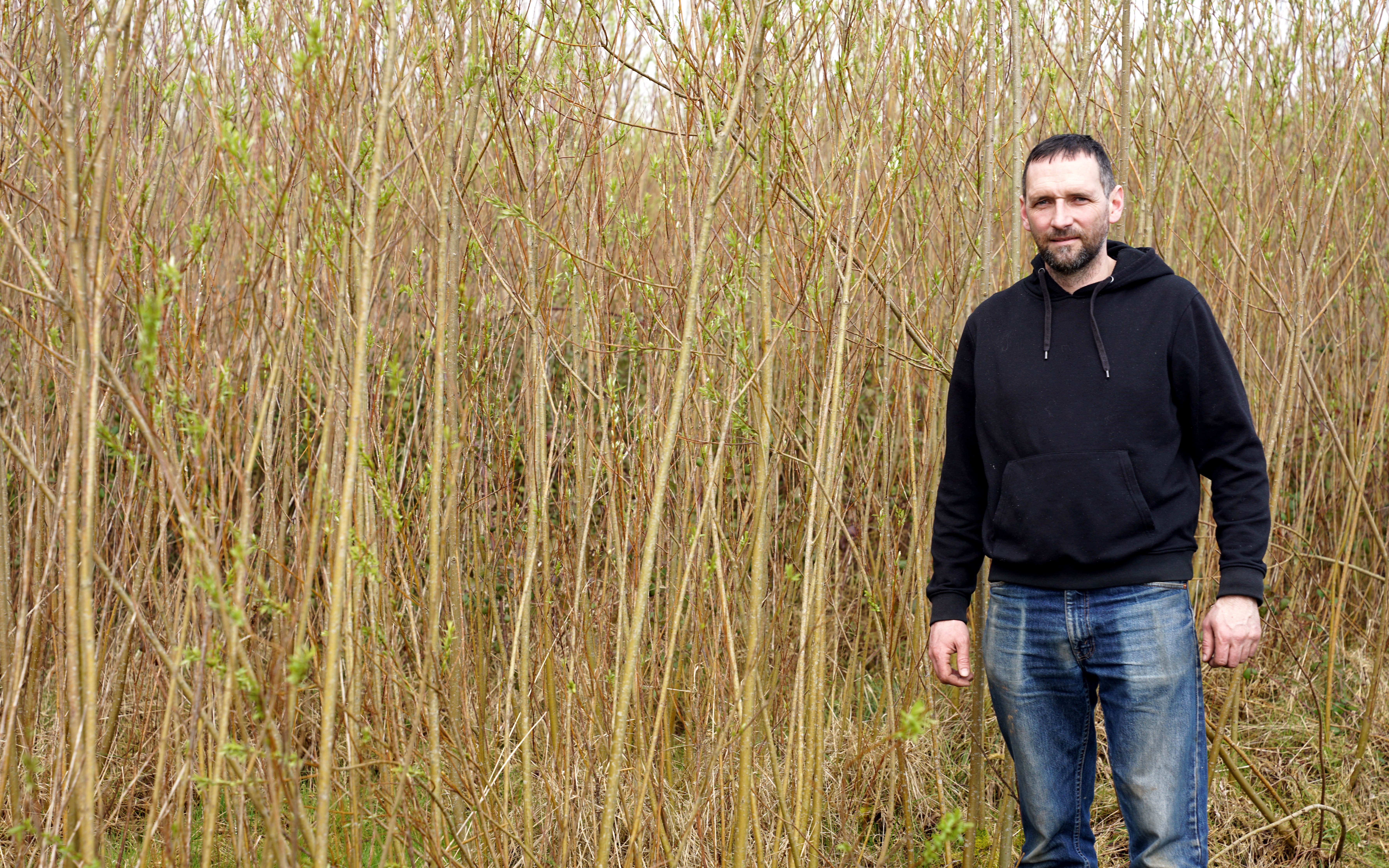 Keneth Flynn, farm manager at Gurteen College, stands alongside the ripe willow crop