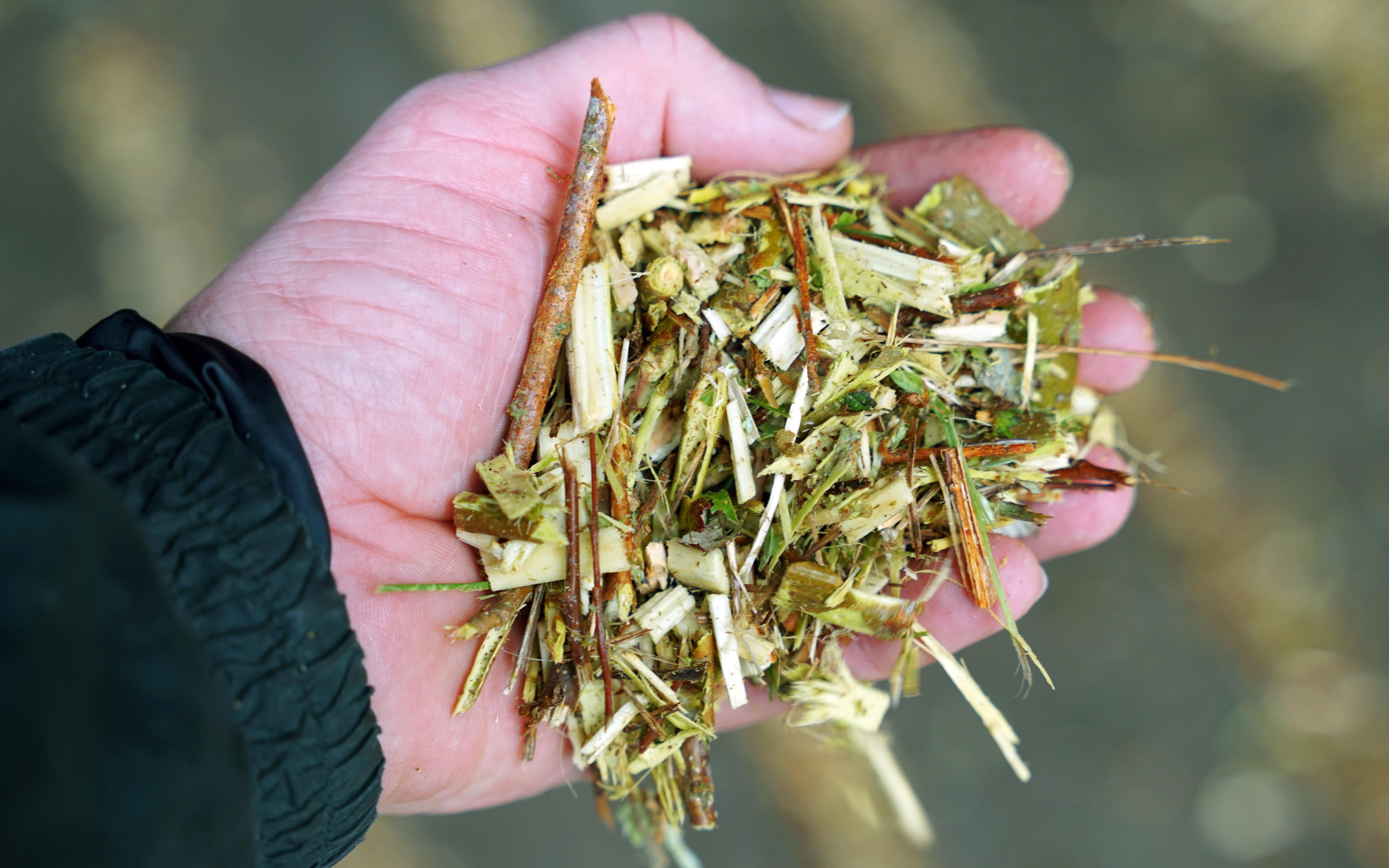The willow chips as they arrive at the store