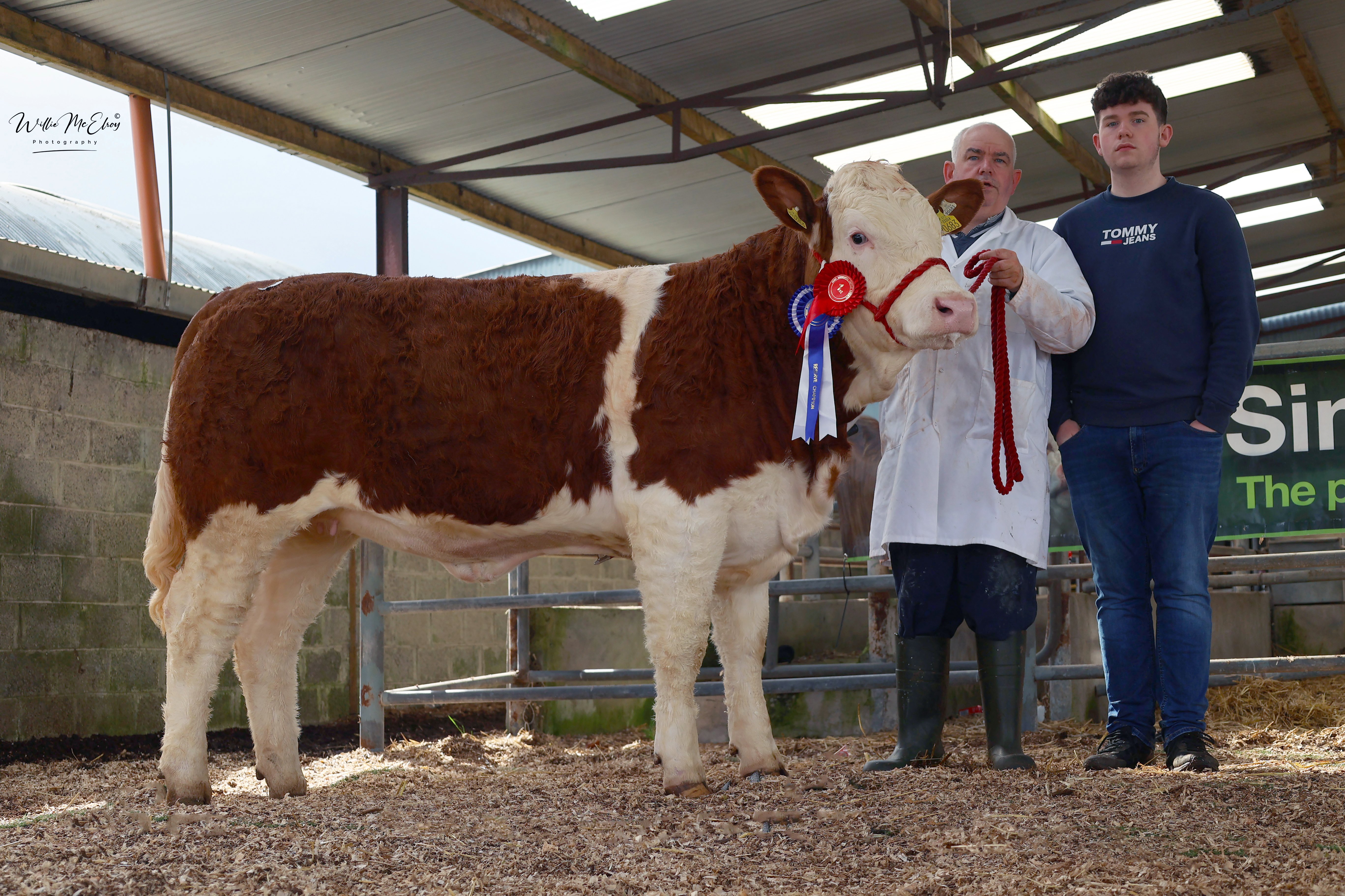 Gortin Nigella P sold for €3,000