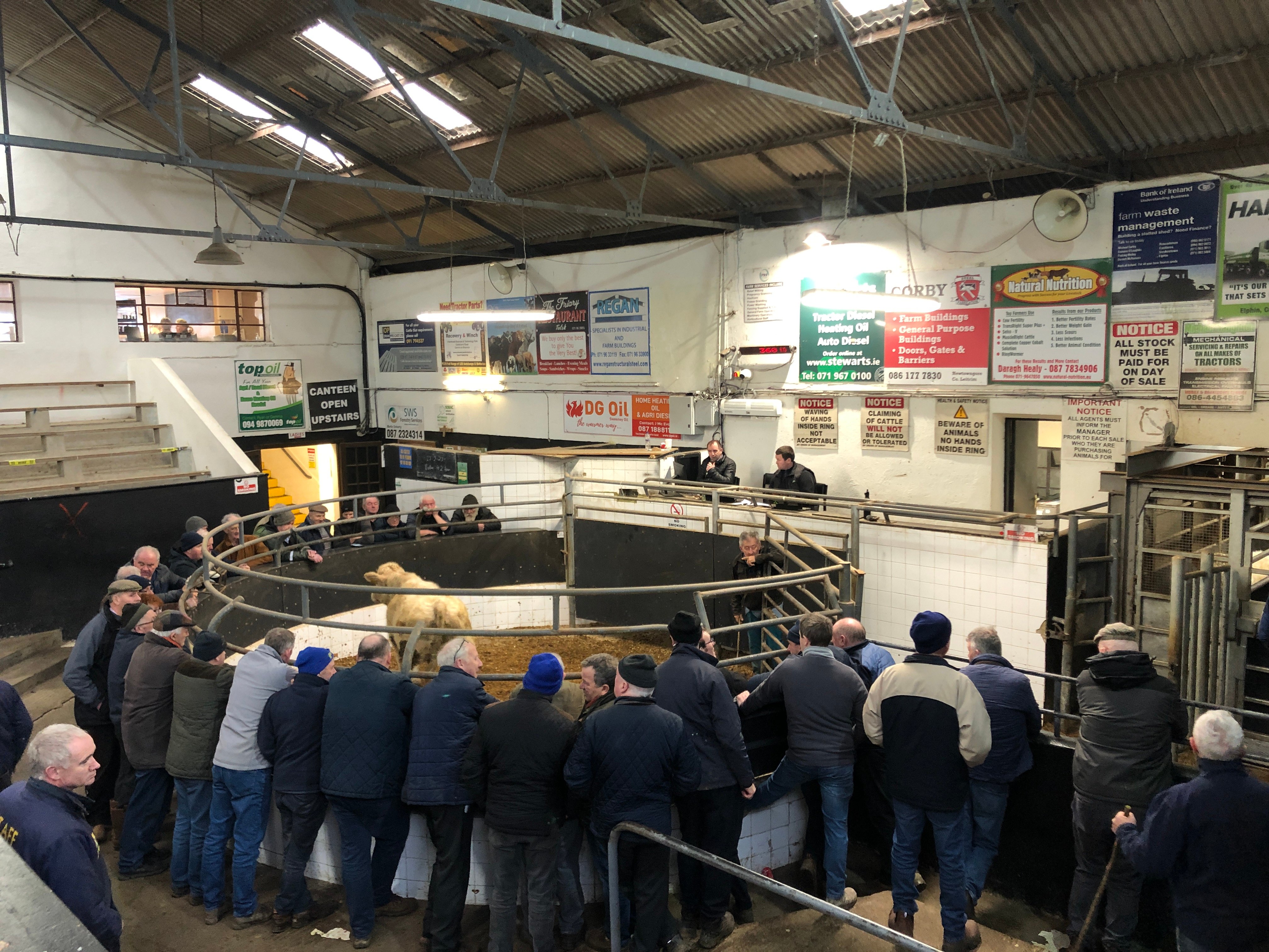 Farmers in attendance at the weanling bull spring show and sale at Elphin Mart