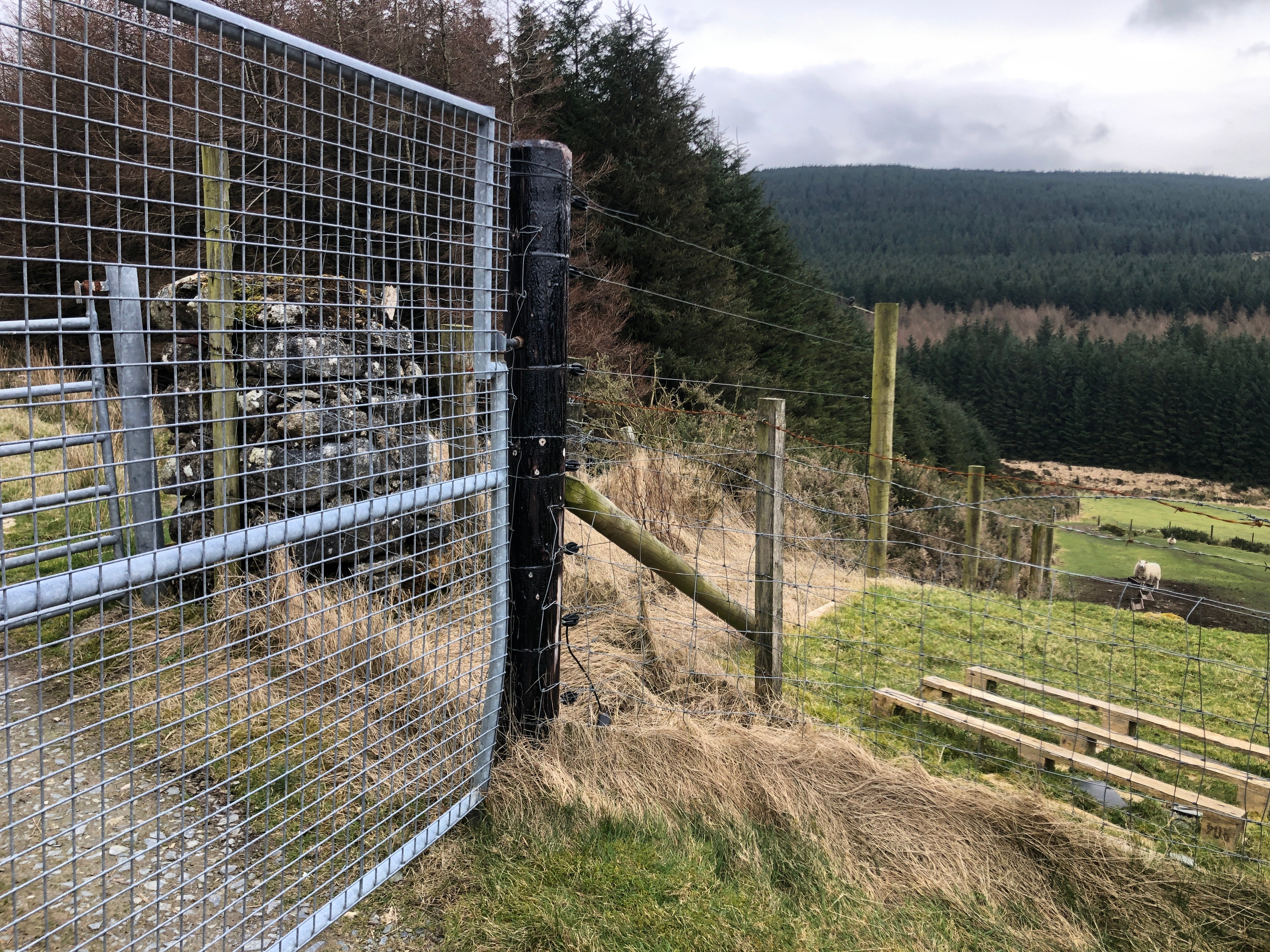 Deer fencing has been erected around some parts of the farm