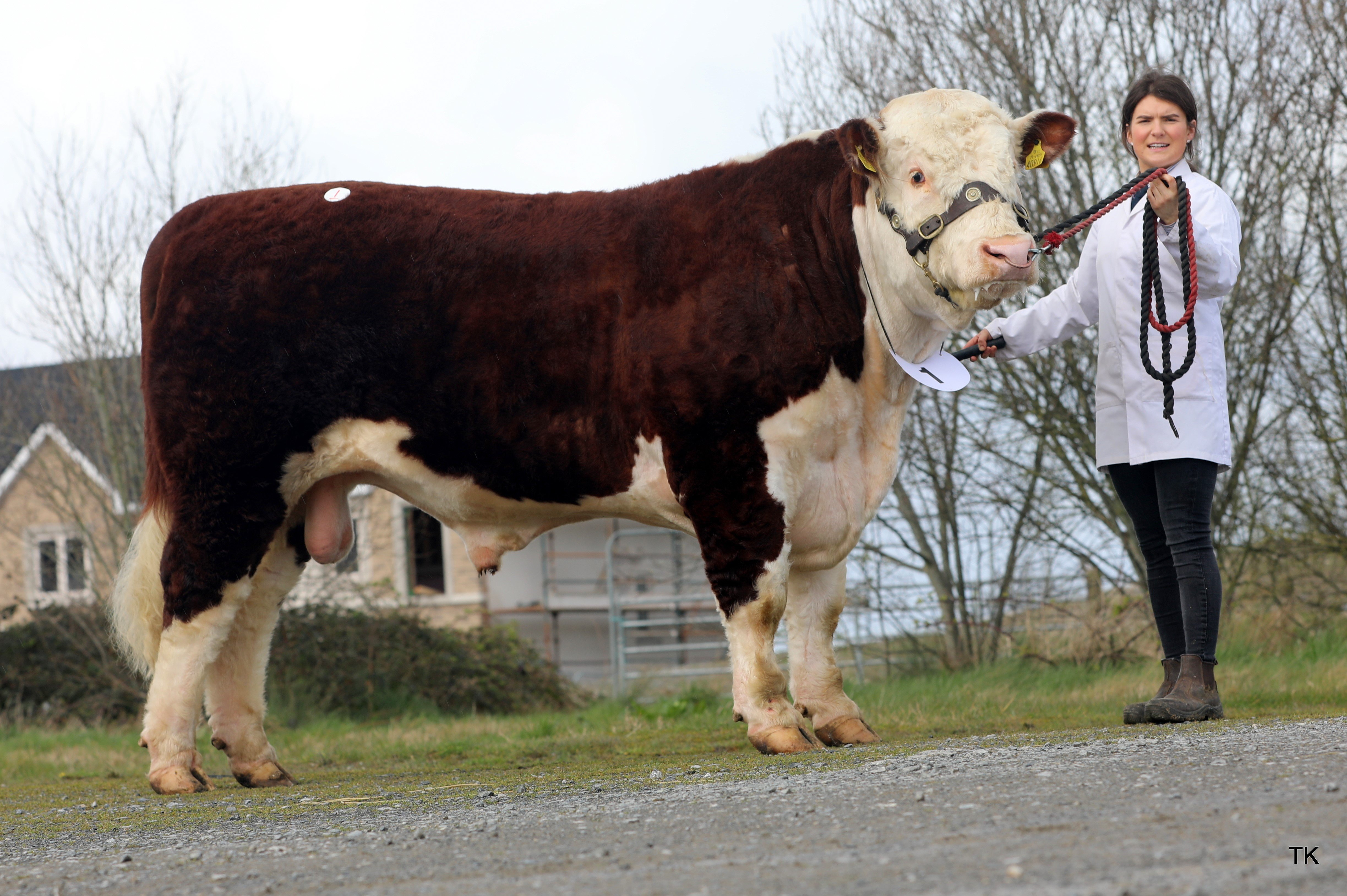 Lot 1 for Paul and Catherine Smyth. Sold for €5,200