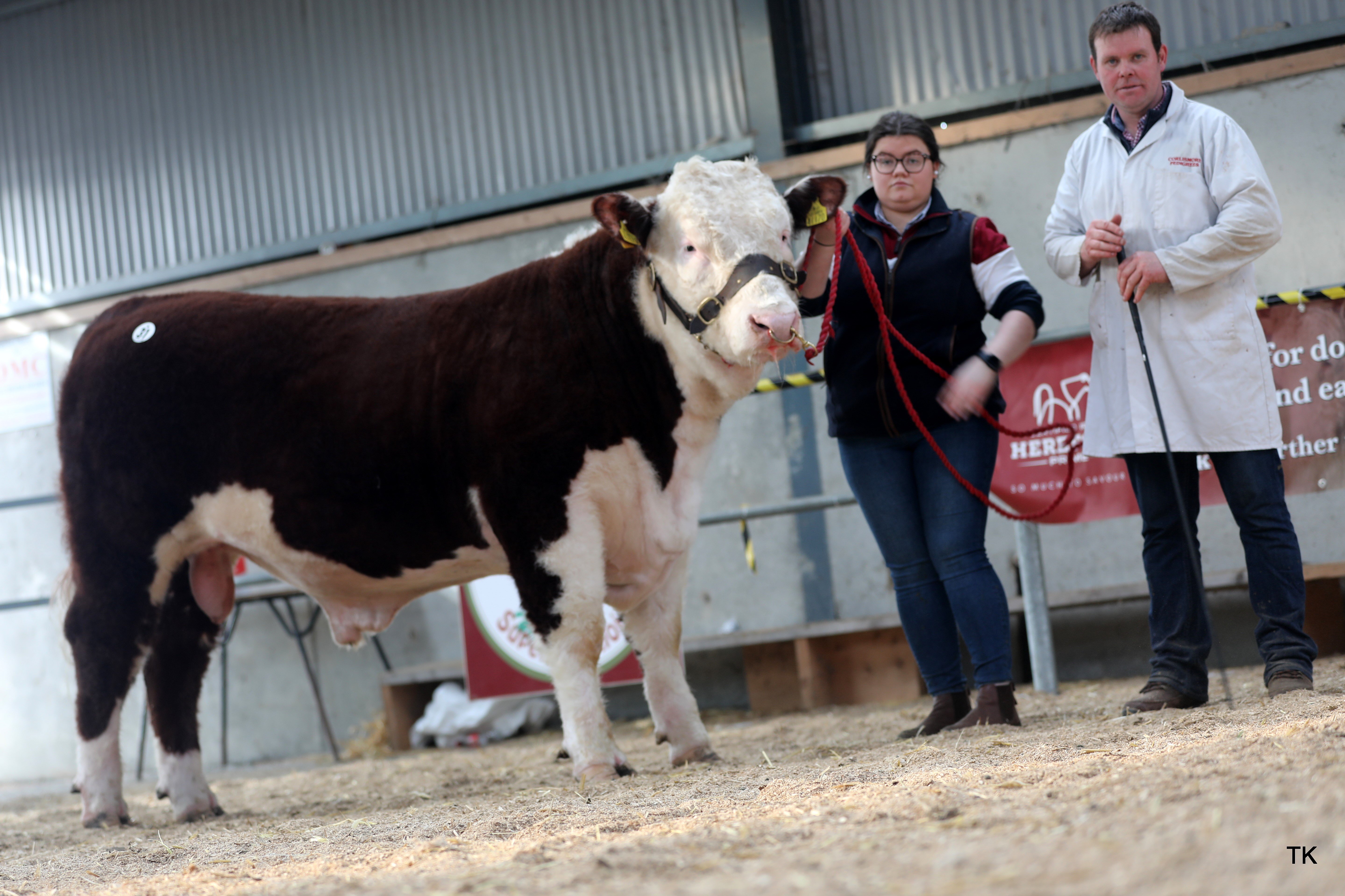 Lot 31 for Sean McKiernan Sold for €4,000