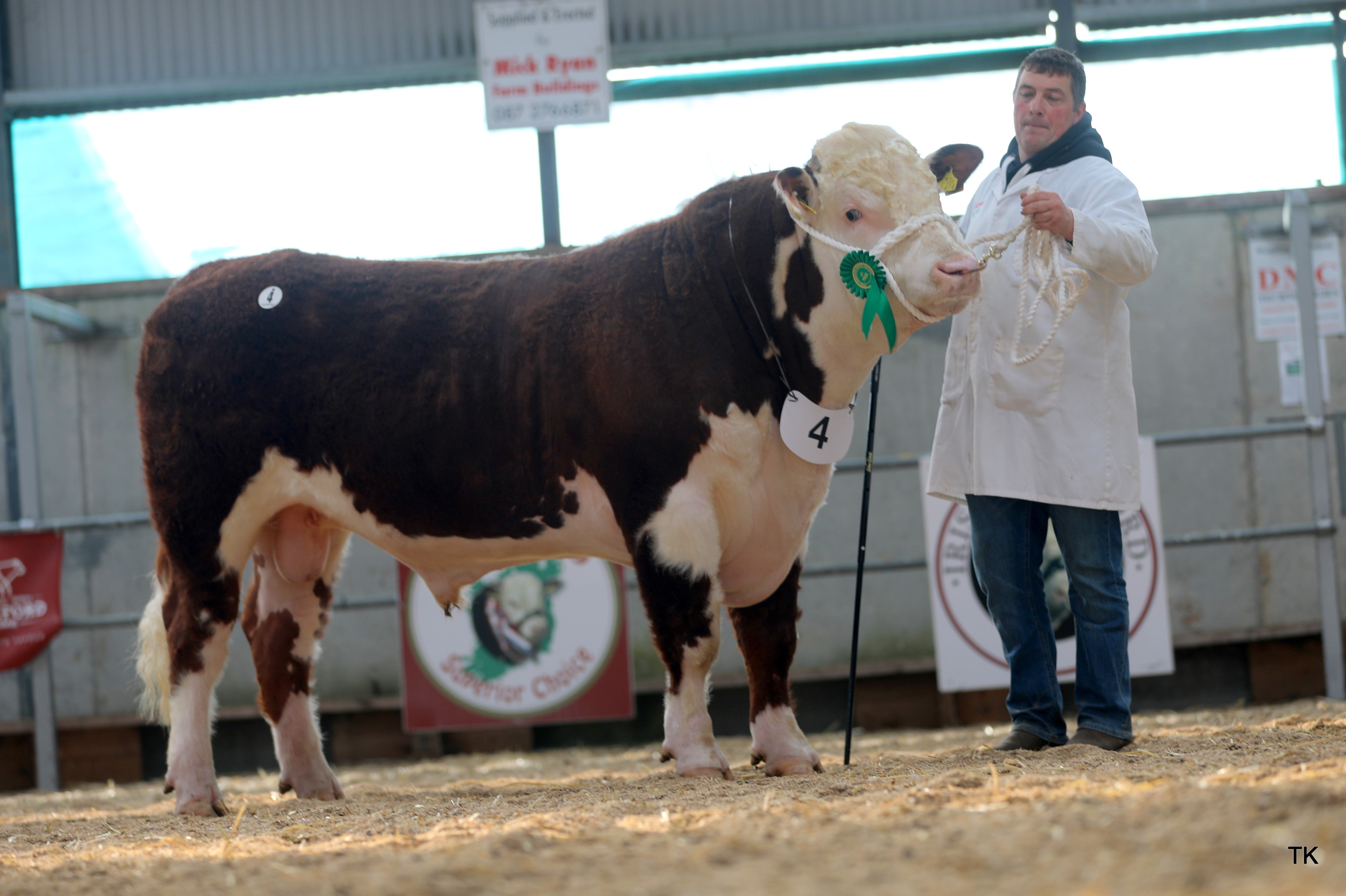 Lot 4 for Nigel Heatrick. Sold for €3,700