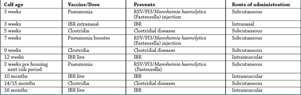 Sample vaccination programme on a dairy calf-to-beef farm