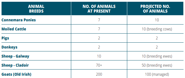 Details of the current stock of breeds at Connemara National Park (2021). Source: NPWS