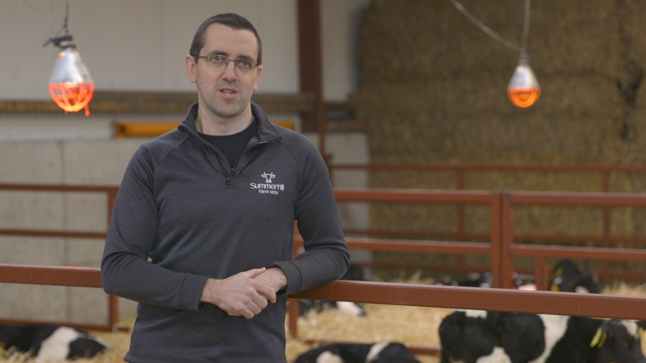 Eamon O'Connell, veterinary practitioner with Summerhill Veterinary Practice