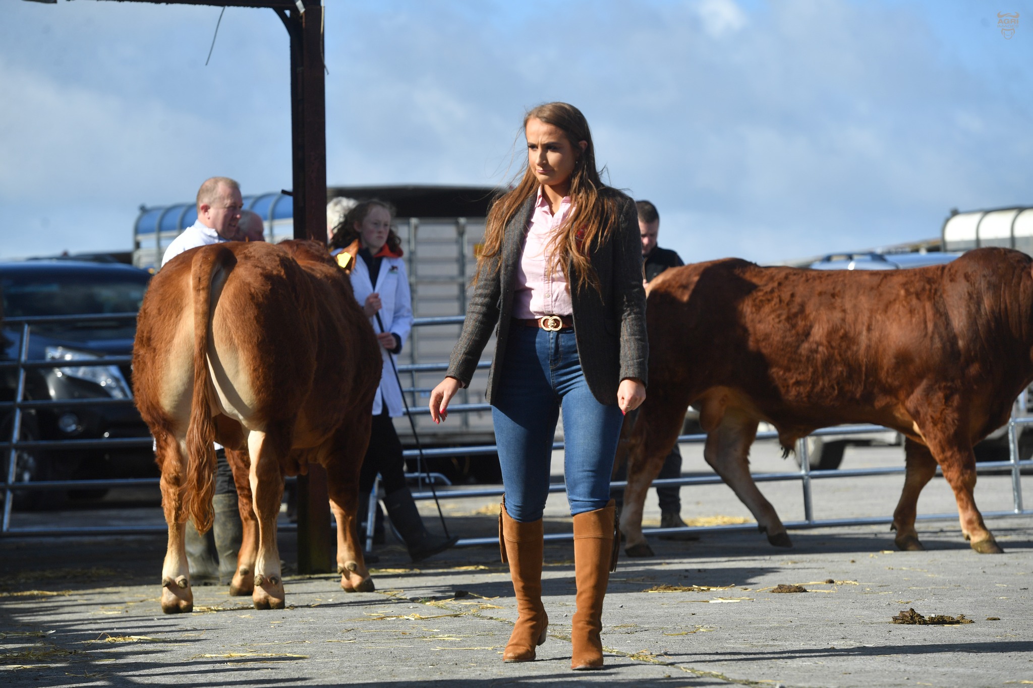 The judge on the day was Elanor Reilly from Cavan