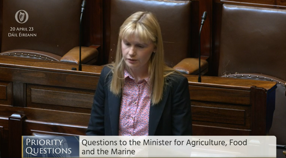 Sinn Féin's new spokesperson on agriculture and food Deputy Claire Kerrane. Image: Oireachtas