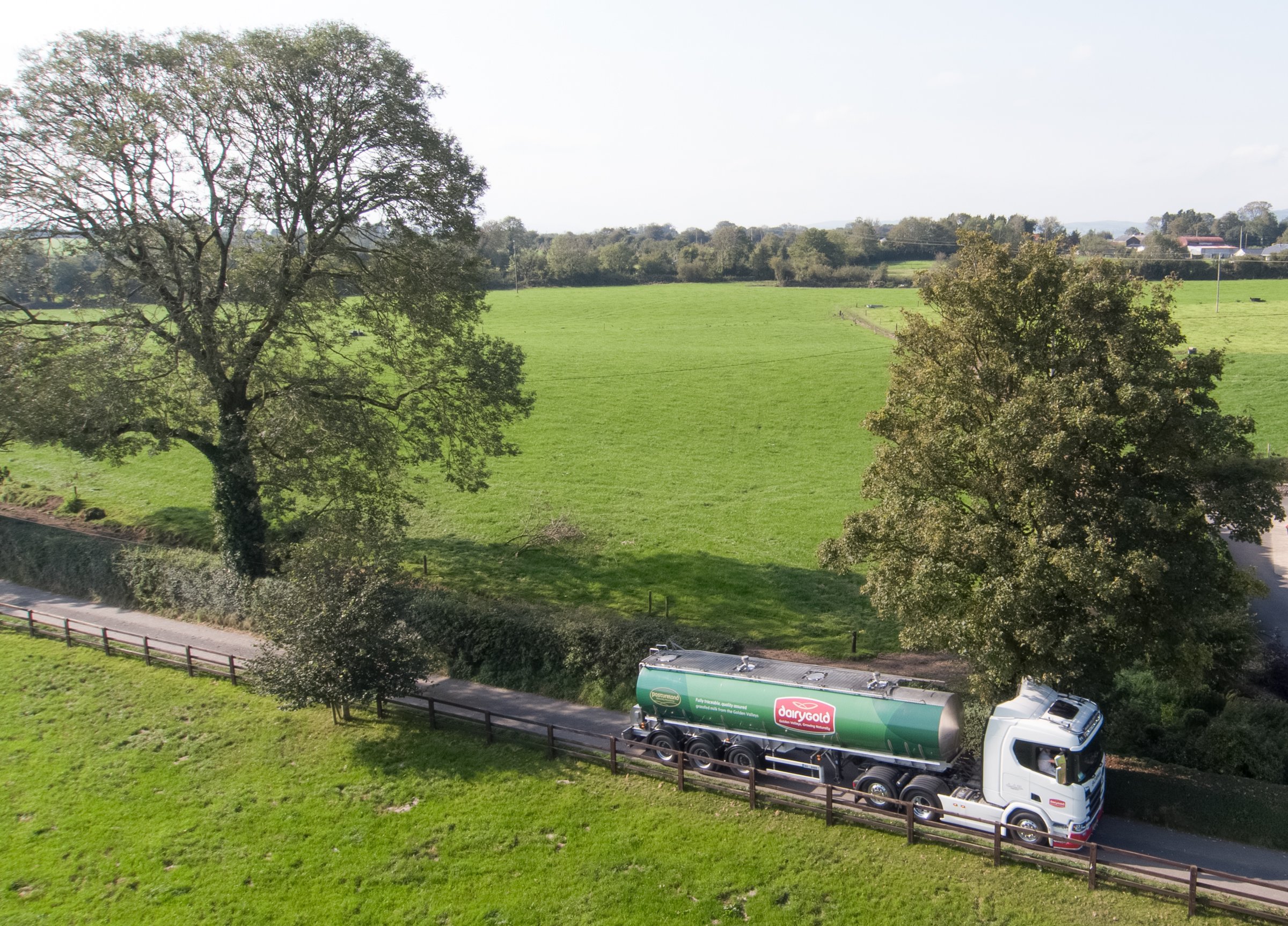 Image: Dairygold co-op