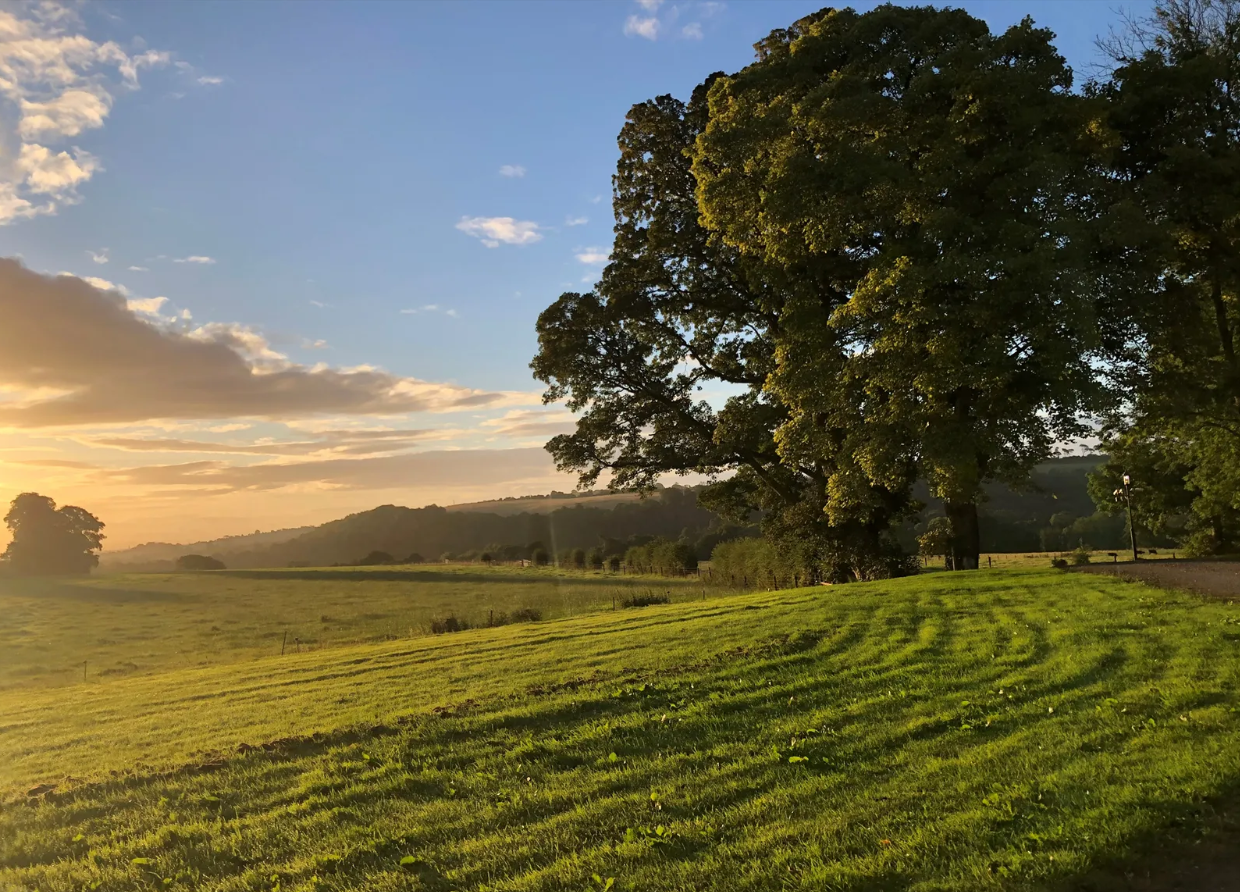 The majority of the land is newly fenced