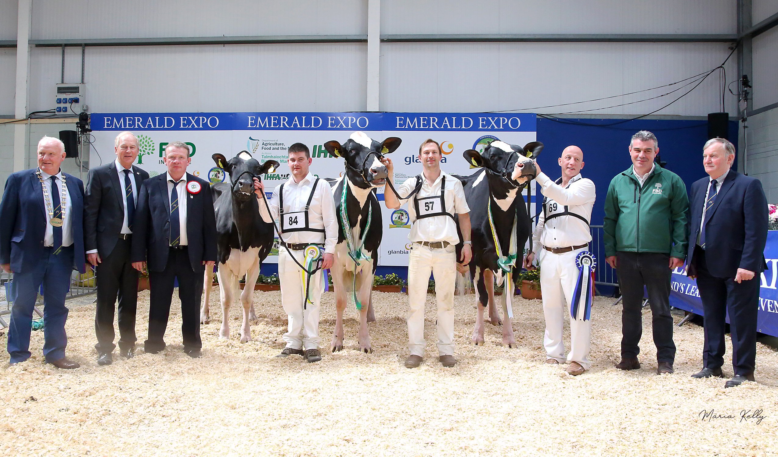 Championship line-up 2022. L-R: IHFA president - PJ Kelly, Charles Gallagher CE IHFA, Paul Hannan judge, Hon. Mention Bawnmore Pepper Almeric, exhibited by John O’Connor, (handler Paul Murphy), Res. Champion Monamore Diamond Barbie, exhibited by Tom and James Kelly and Alan Dorian (handler Richard Jones), Champion, Clonpaddin G Fame ET, exhibited by John Dowling, (at halter) Conor McGovern, FBD (sponsor) and Richard Whelan, show director. Photo: Maria Kelly