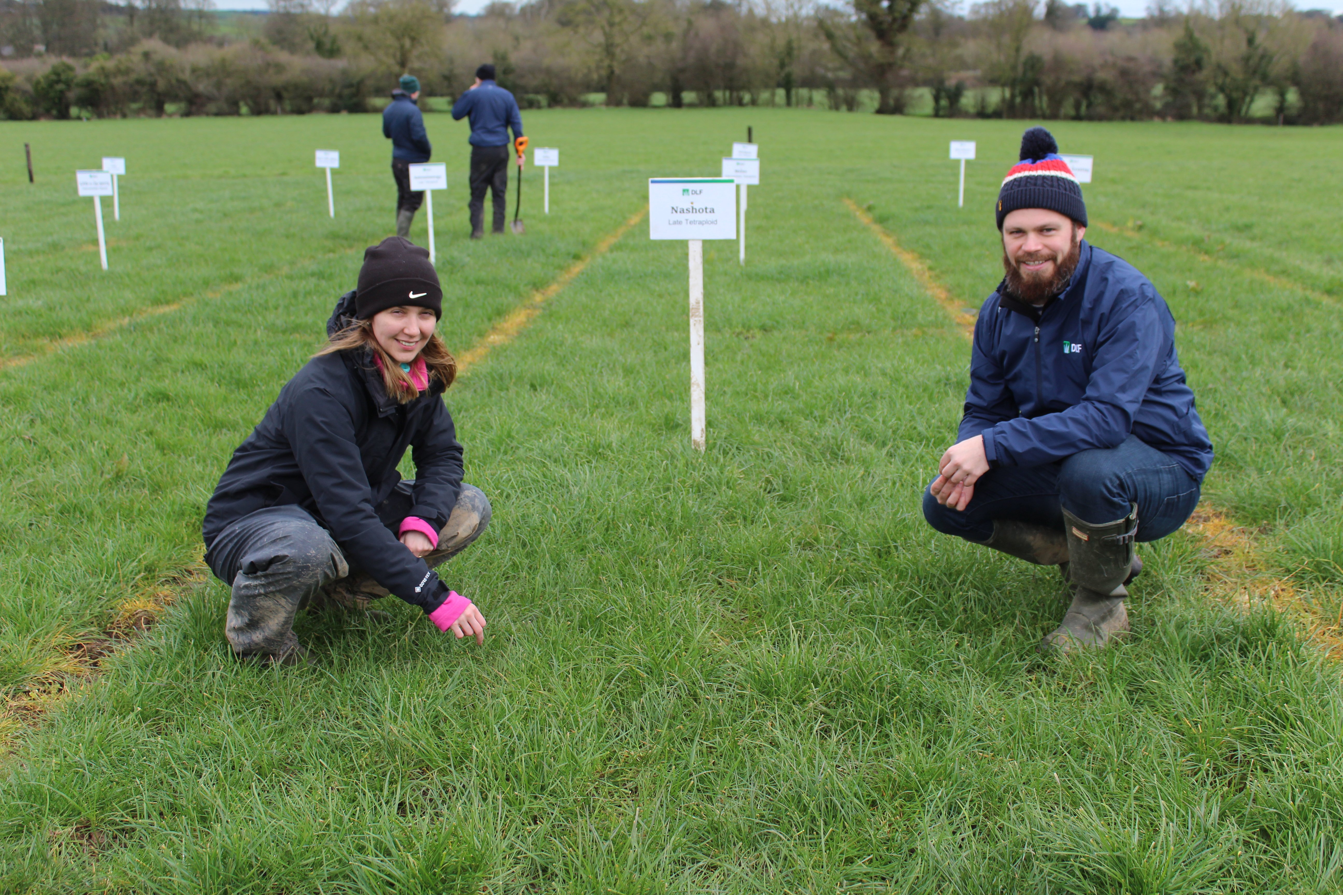 Chatting at the recent grass varieties'open day: Shona Baker, Teagasc and Thomas Maloney, DLF Seeds