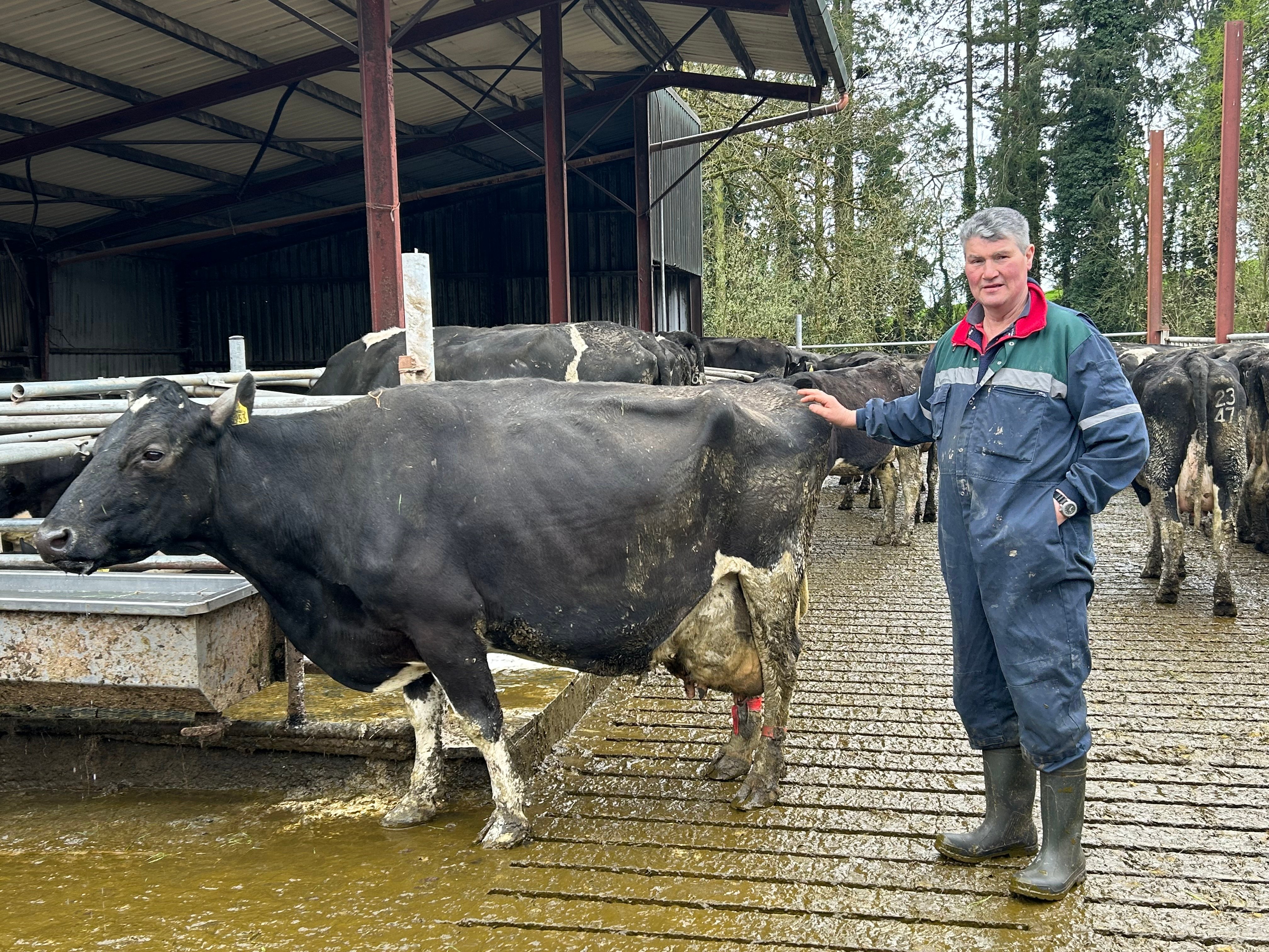Pat Flynn with Coolmohan Lily Garbo EX 92