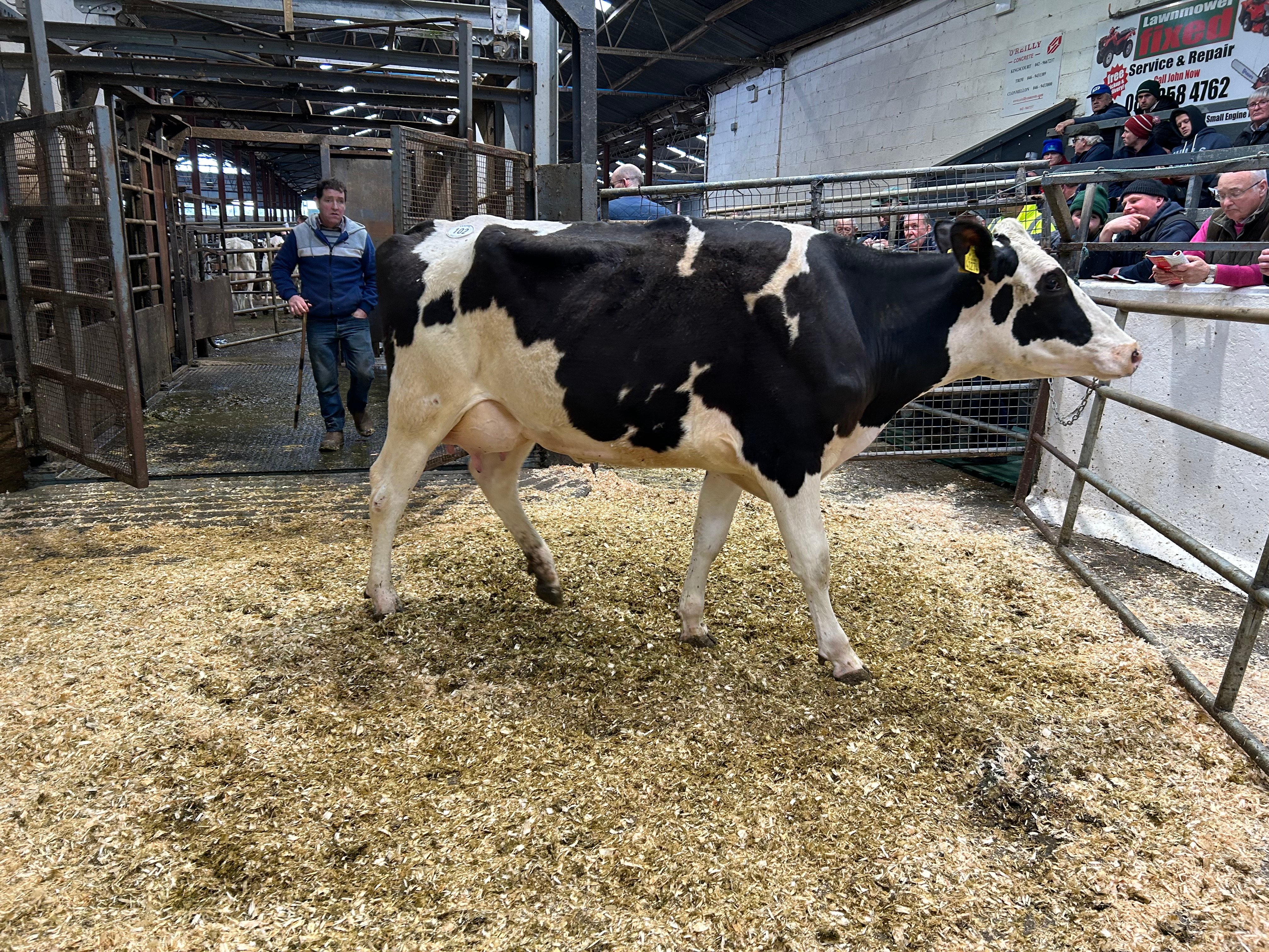 Lot 102: Cornboro Unix Finesse, sold for 3,700gns