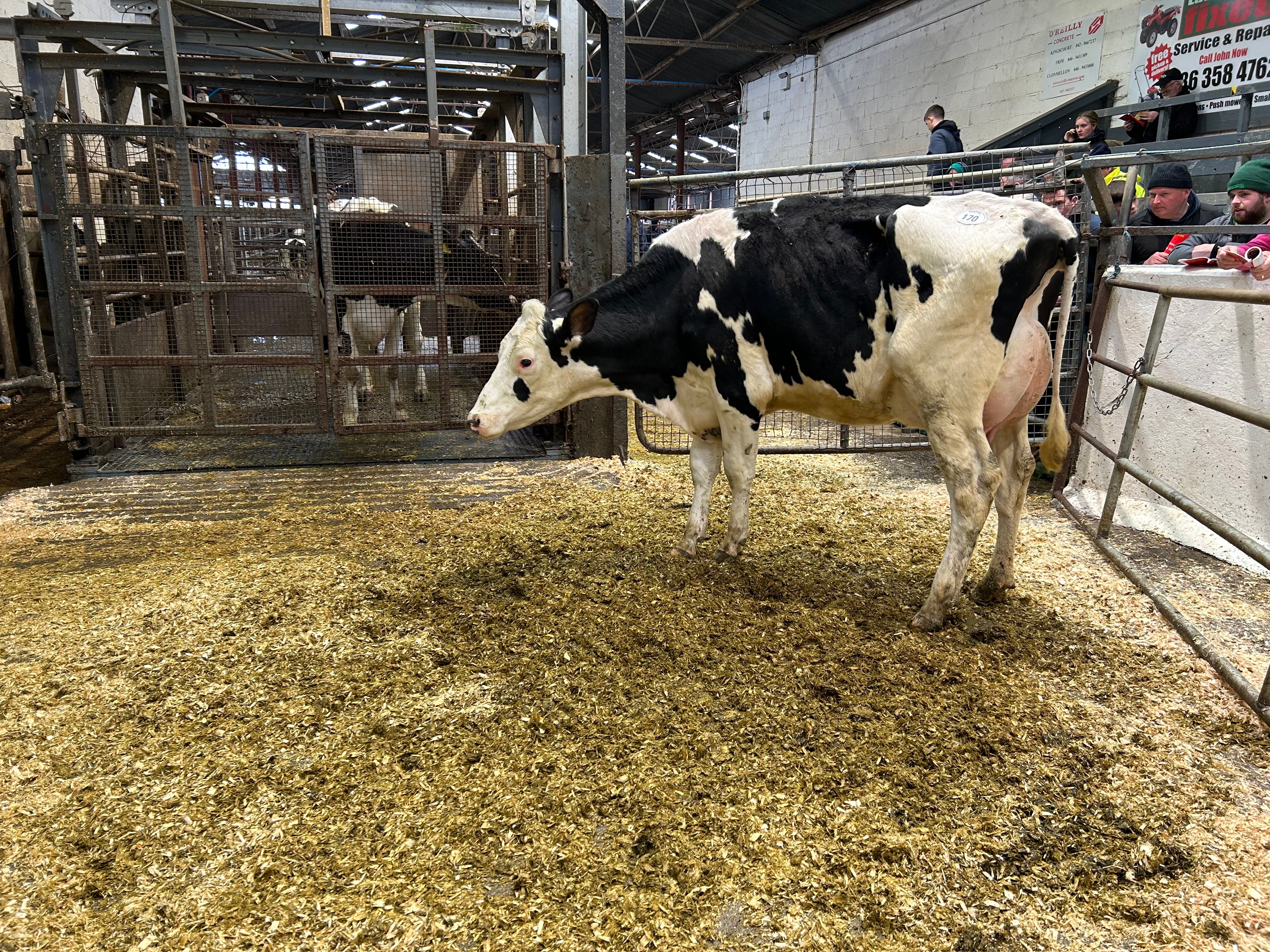Lot 170: Delasheen Luster P Apple 2373, sold for 3,050gns