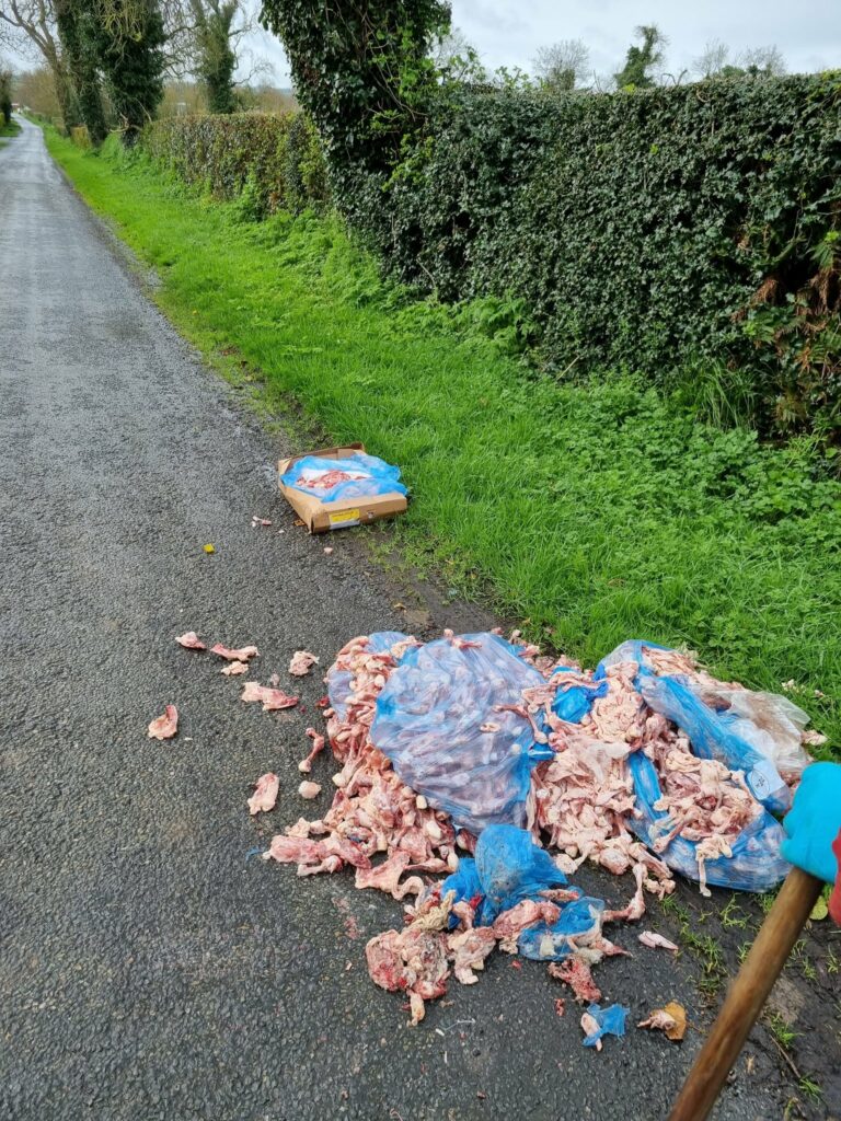 The dumped chicken bones and waste. Image: Shane Corbally Twitter