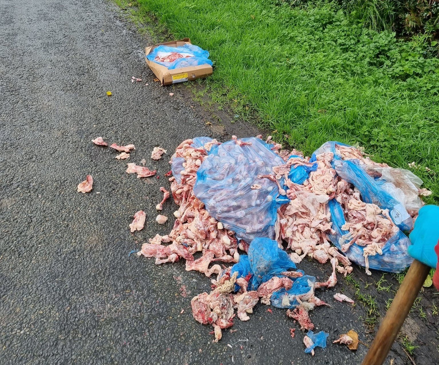 Picture of the dumped chicken bones and meat outside the farm. Image: Shane Corbally Twitter