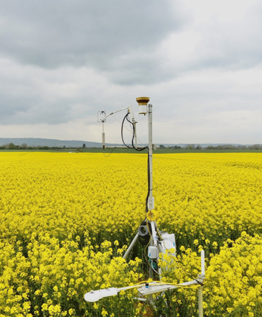 Flux tower located at Teagasc Oakpark, Co. Carlow. Image: Teagasc