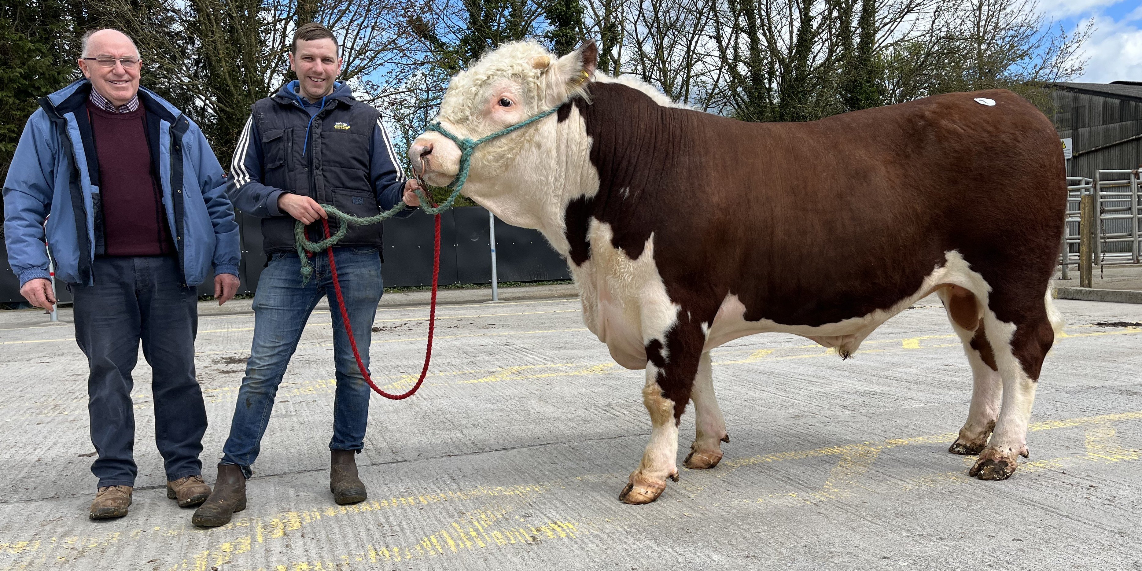 Awbegpoll 1 Ainsley sold for €3,700. Pictured with breeders Padraig and Adrian Curtin