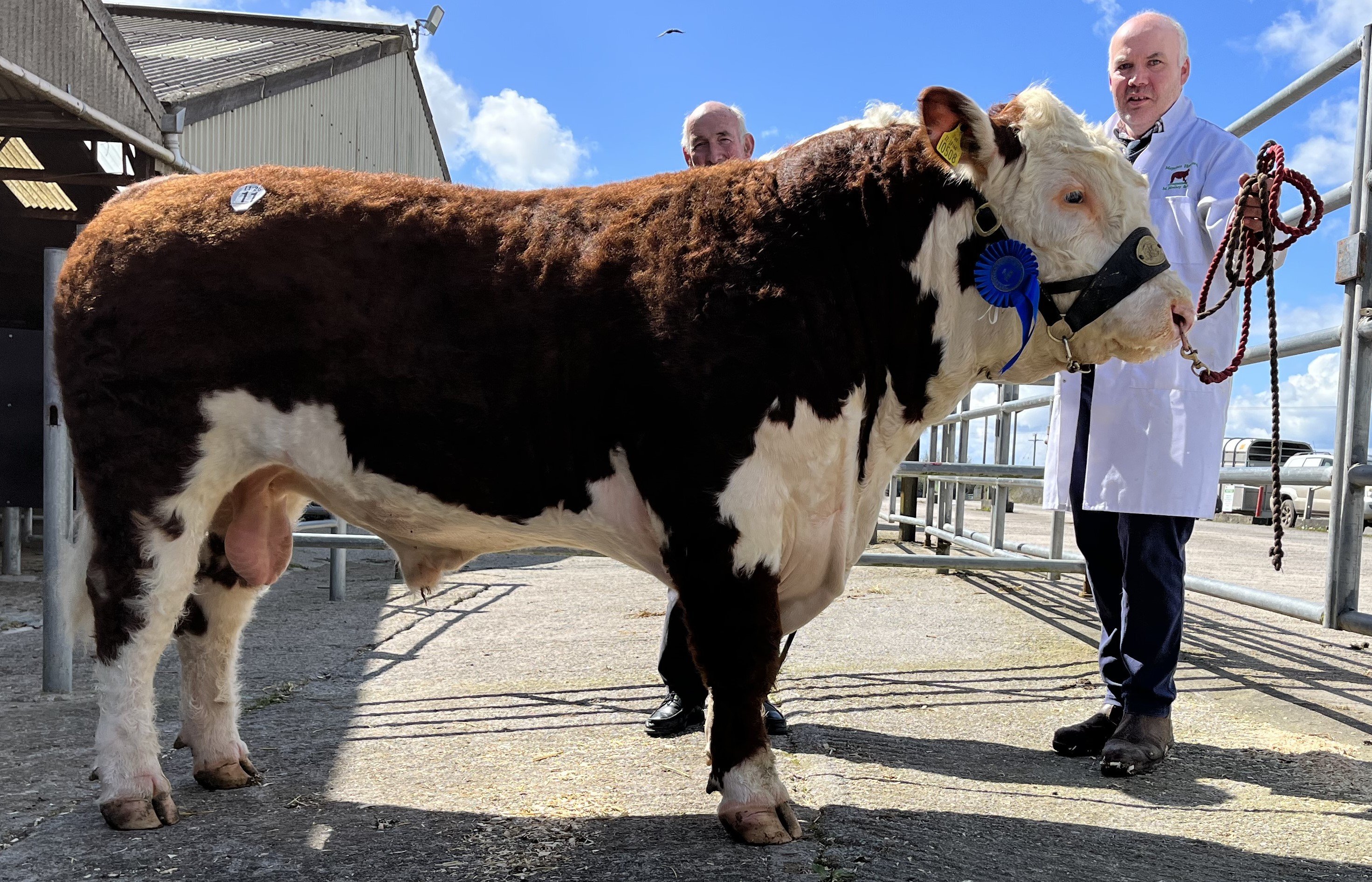 Moyclare Upbeat (sold for €4,200) with buyer Paddy Lane and breeder Michael Molloy