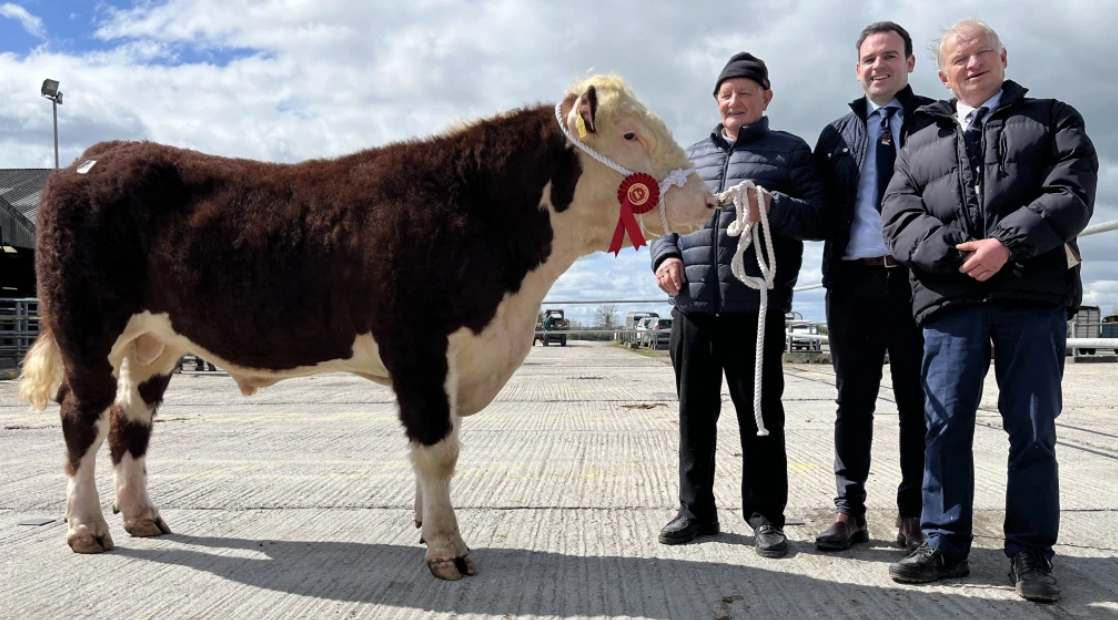 Clondrinapoll 1 1371st (first-prize winners and sold for €4,100) with breeder Gerard Donnelly, judge Michael Barrett, IHBS president, Adrian Bateman
