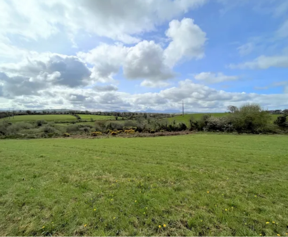 Image: Tom Stuart, Stuart Auctioneers, Castleisland