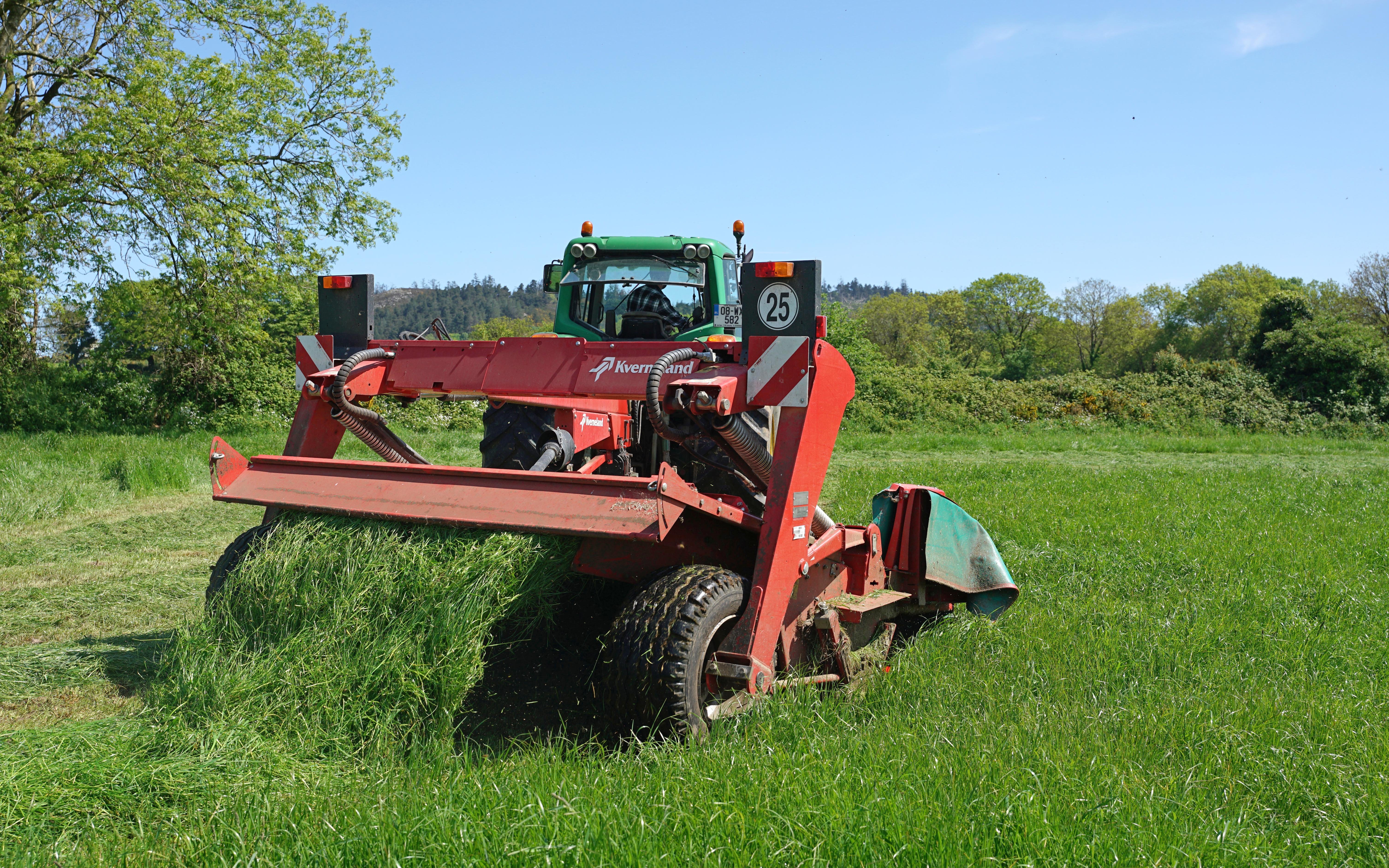 Working on the farm of Joe and Pattie Roche. The field has a mixed species sward and had already been grazed twice