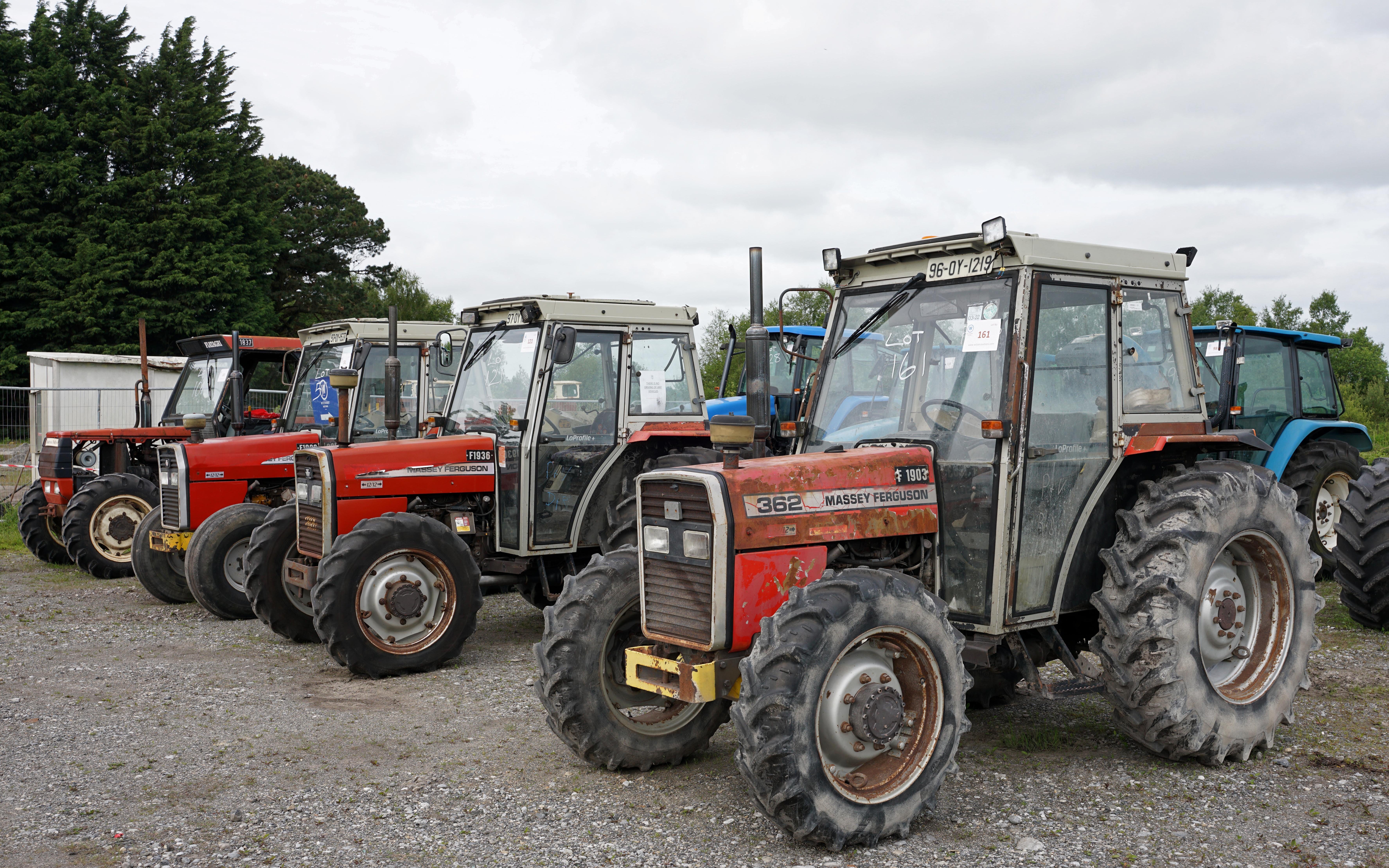 Only a handful of Massey Fergusons are on offer as most in the fleet have already been sold