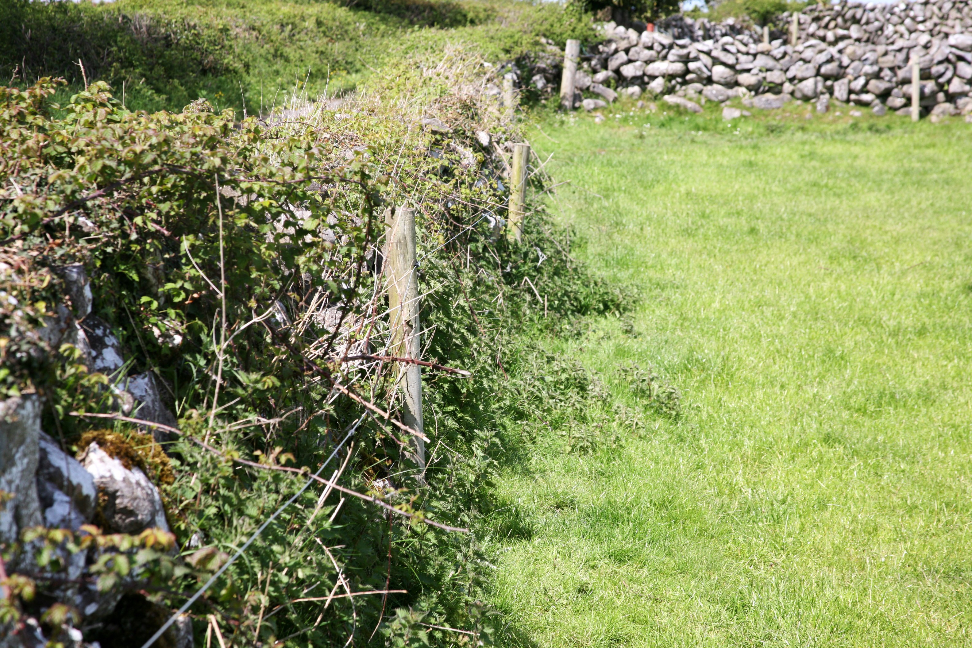 Grazon Pro is fast acting and offers high levels of long-term broad control to fences and ditches