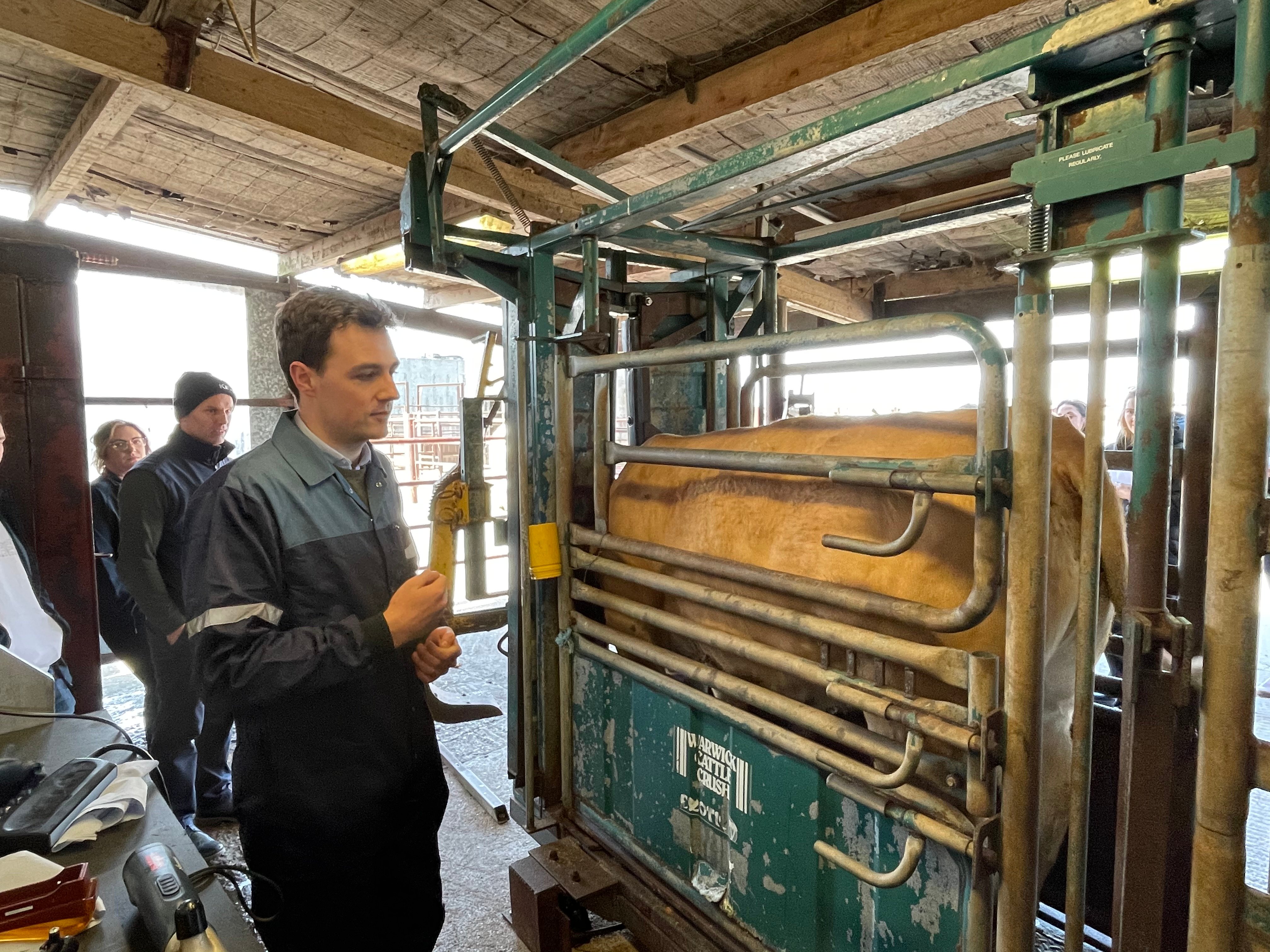 Teagasc's David Kelly