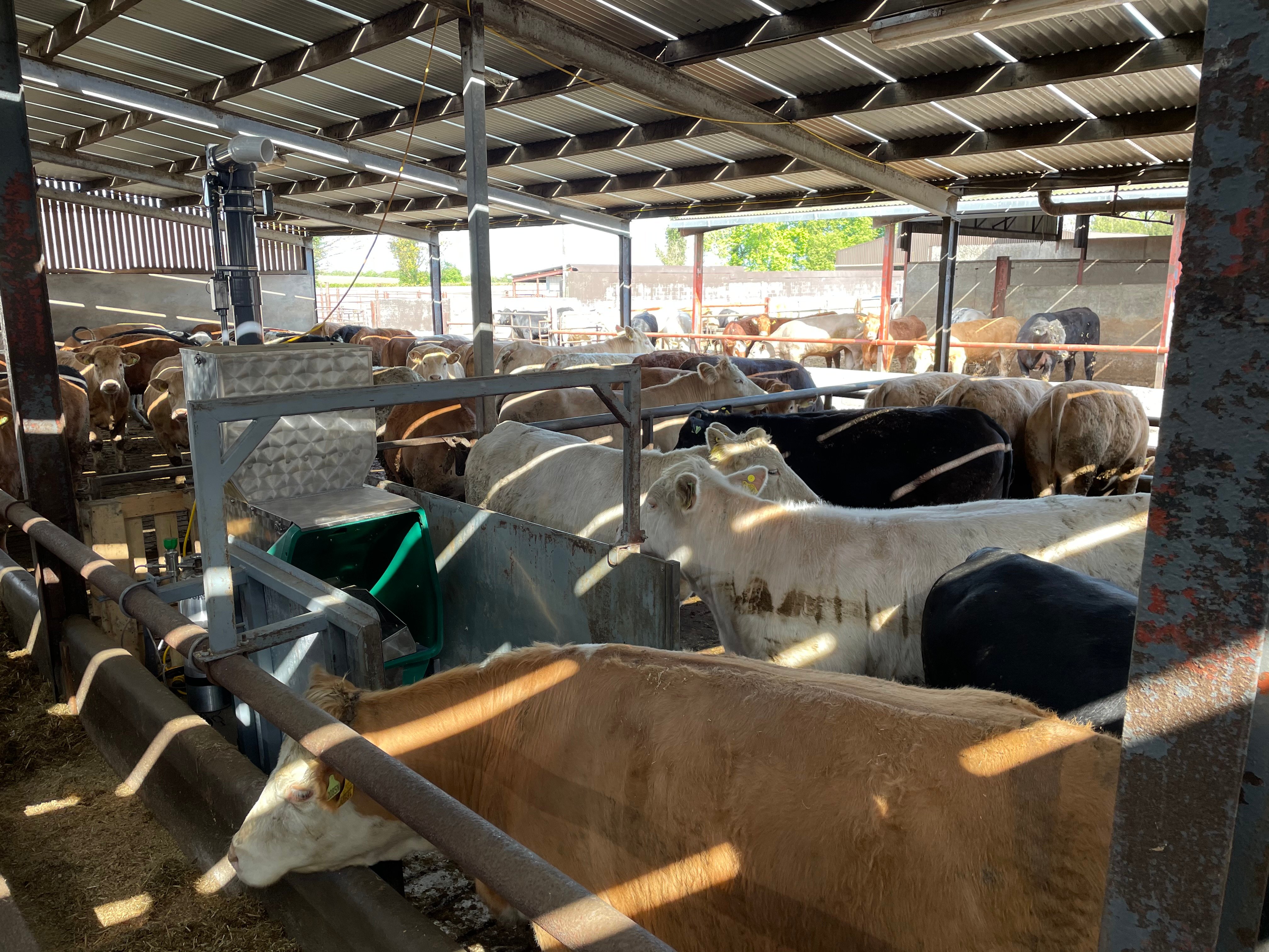 GreenFeed bin gathering data on emissions