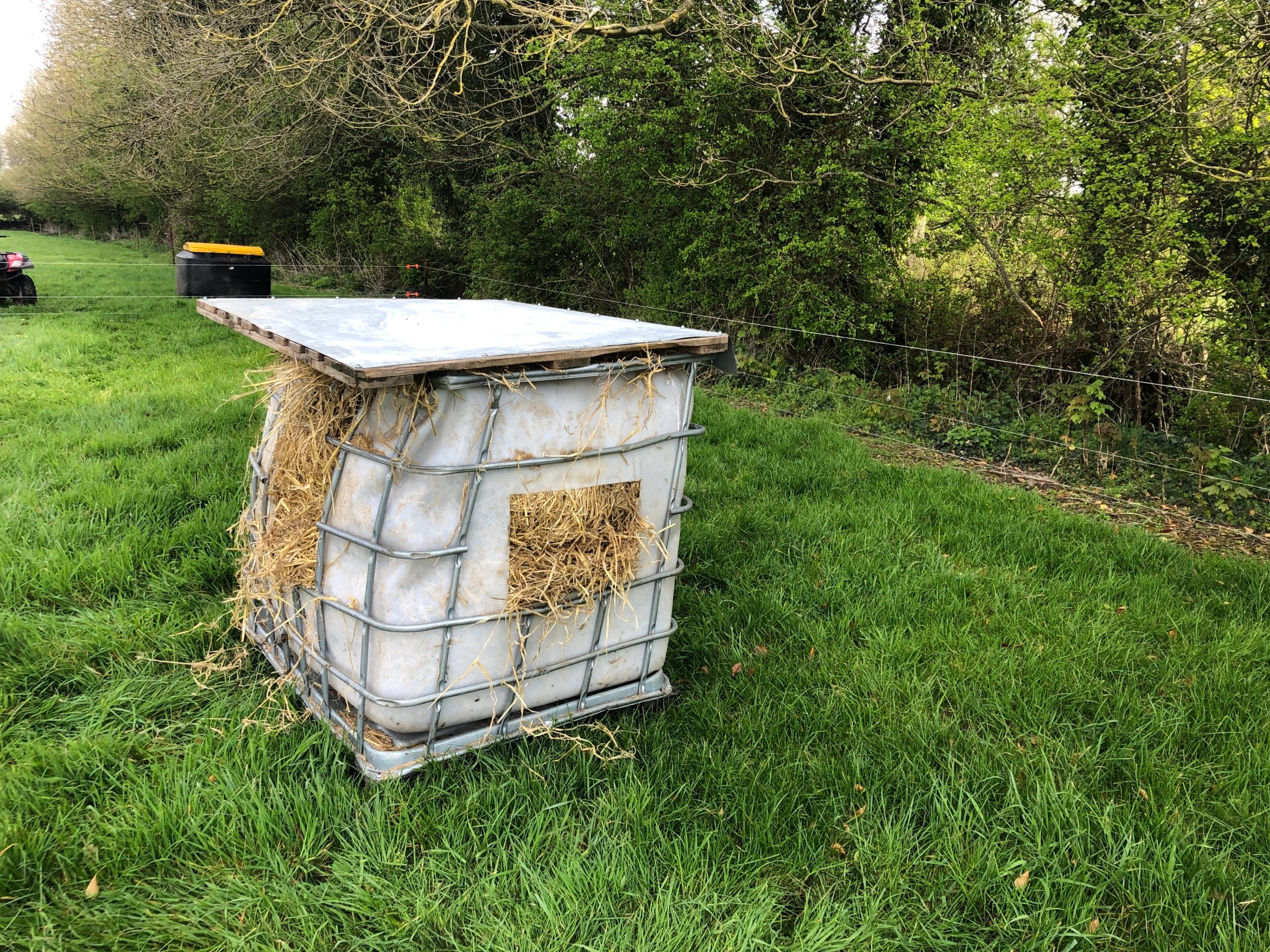 An example of a converted IBC tank for feeding straw to calves at grass