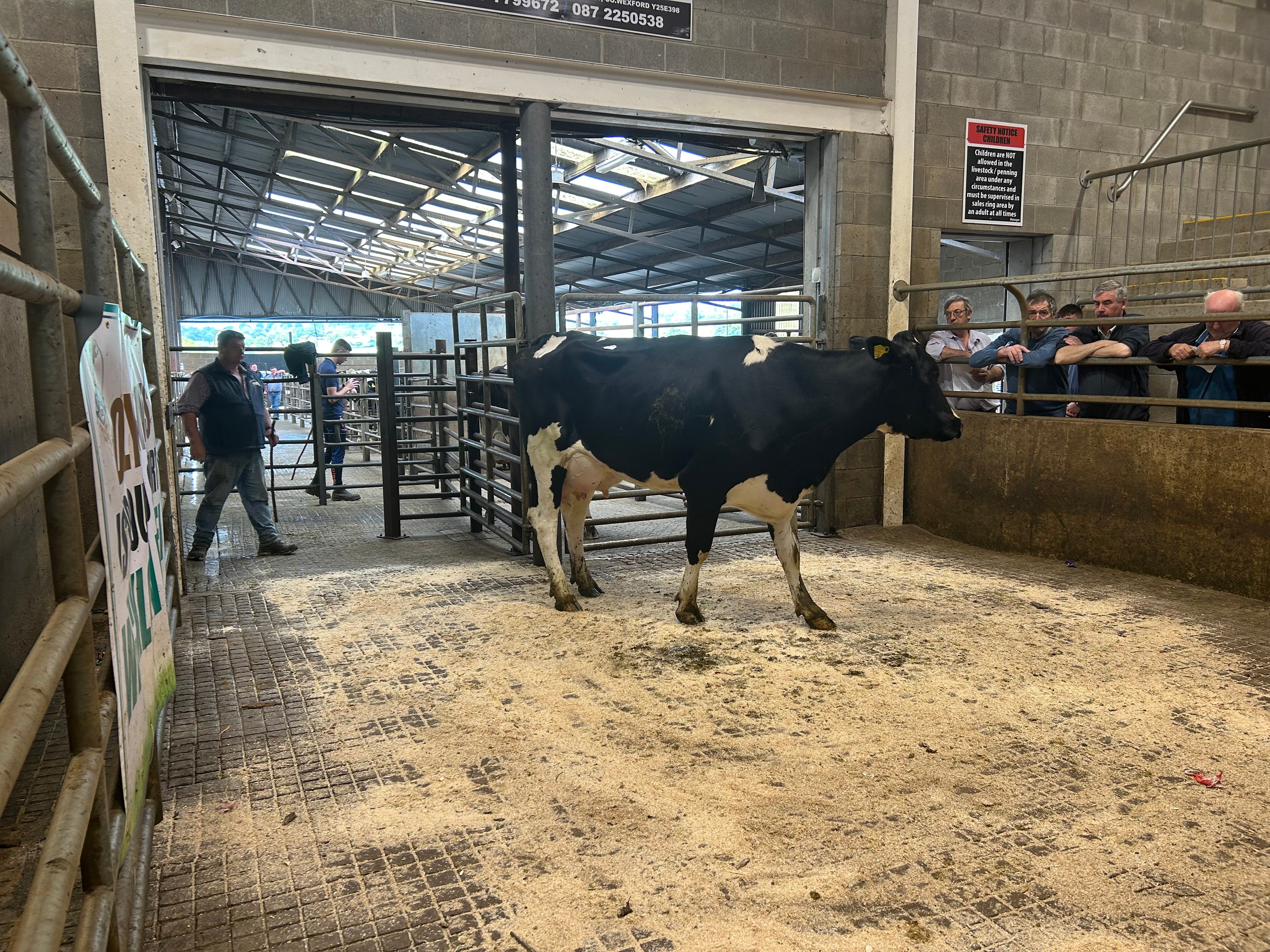 Lot 4 sold for €2,260