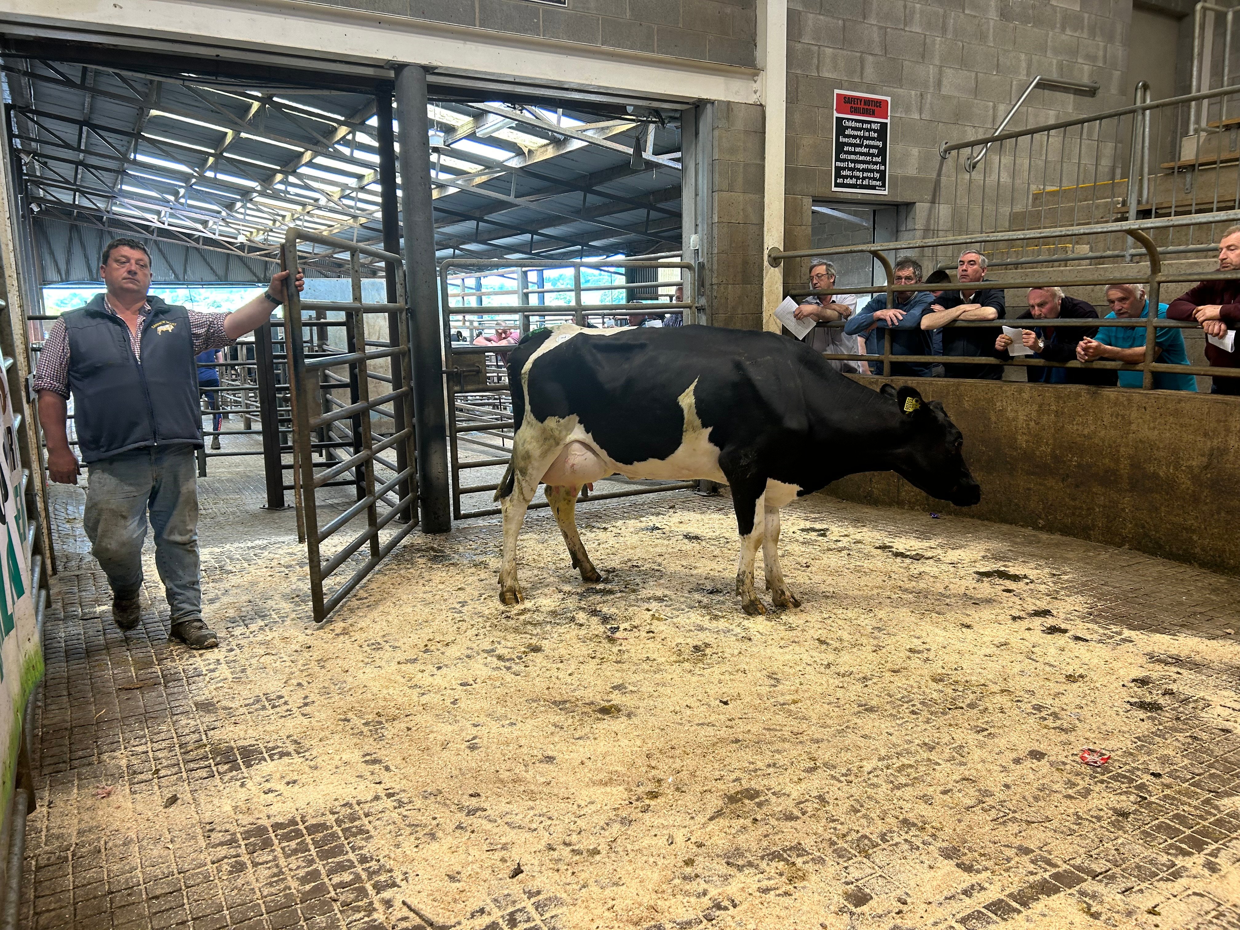 Lot 7 sold for €1,740