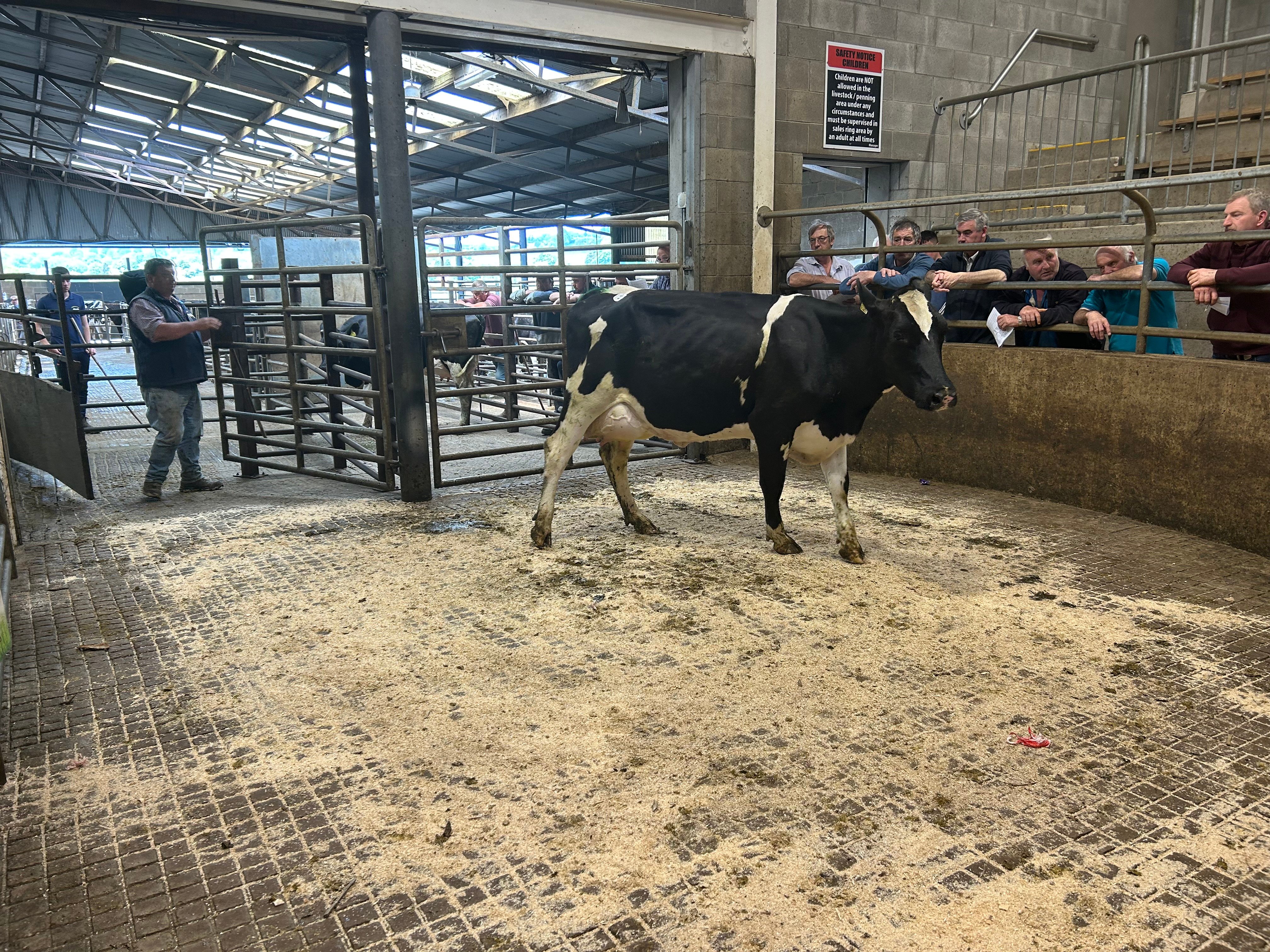 Lot 11 sold for €1,740