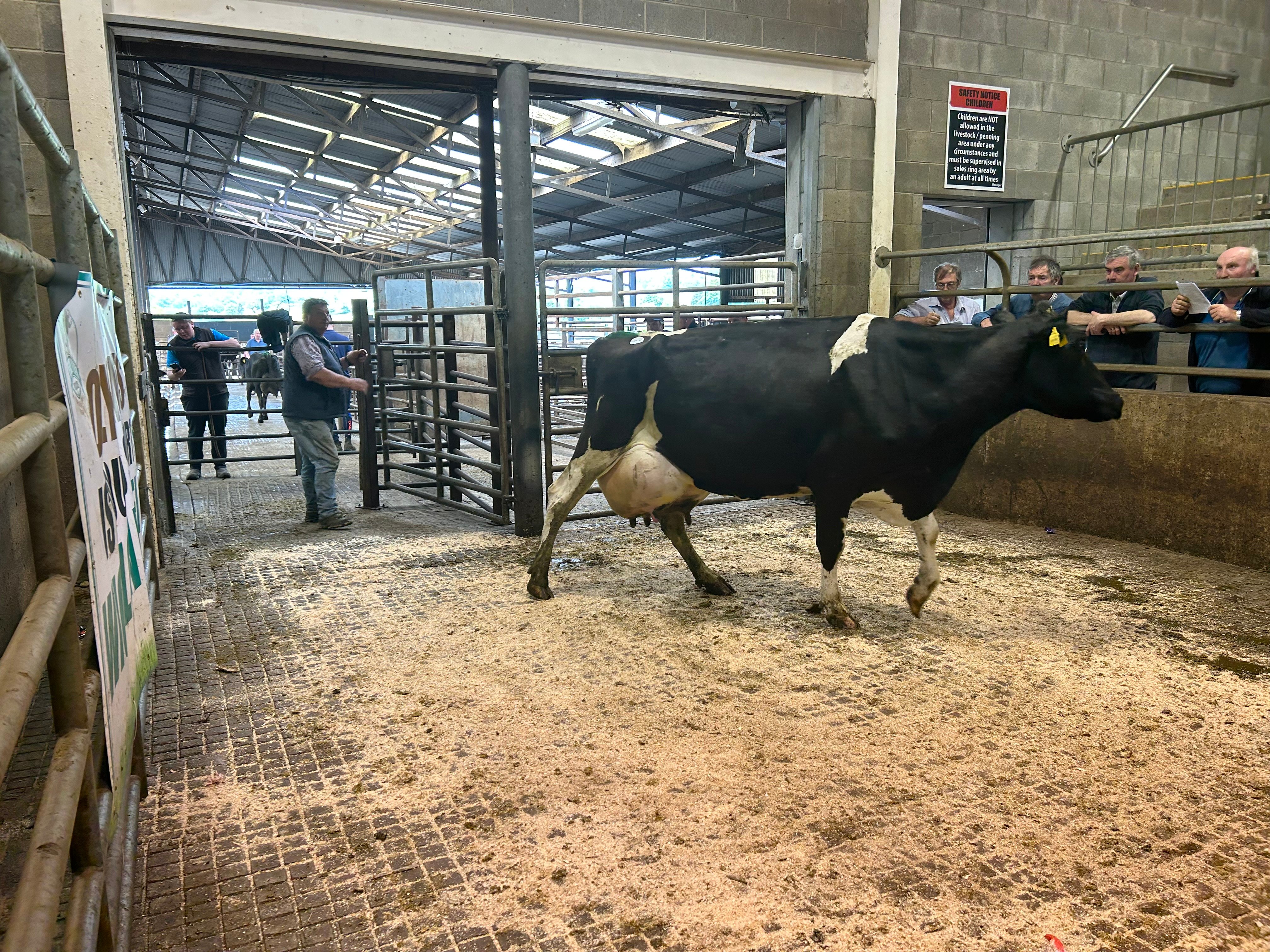 Lot 18 sold for €1,960