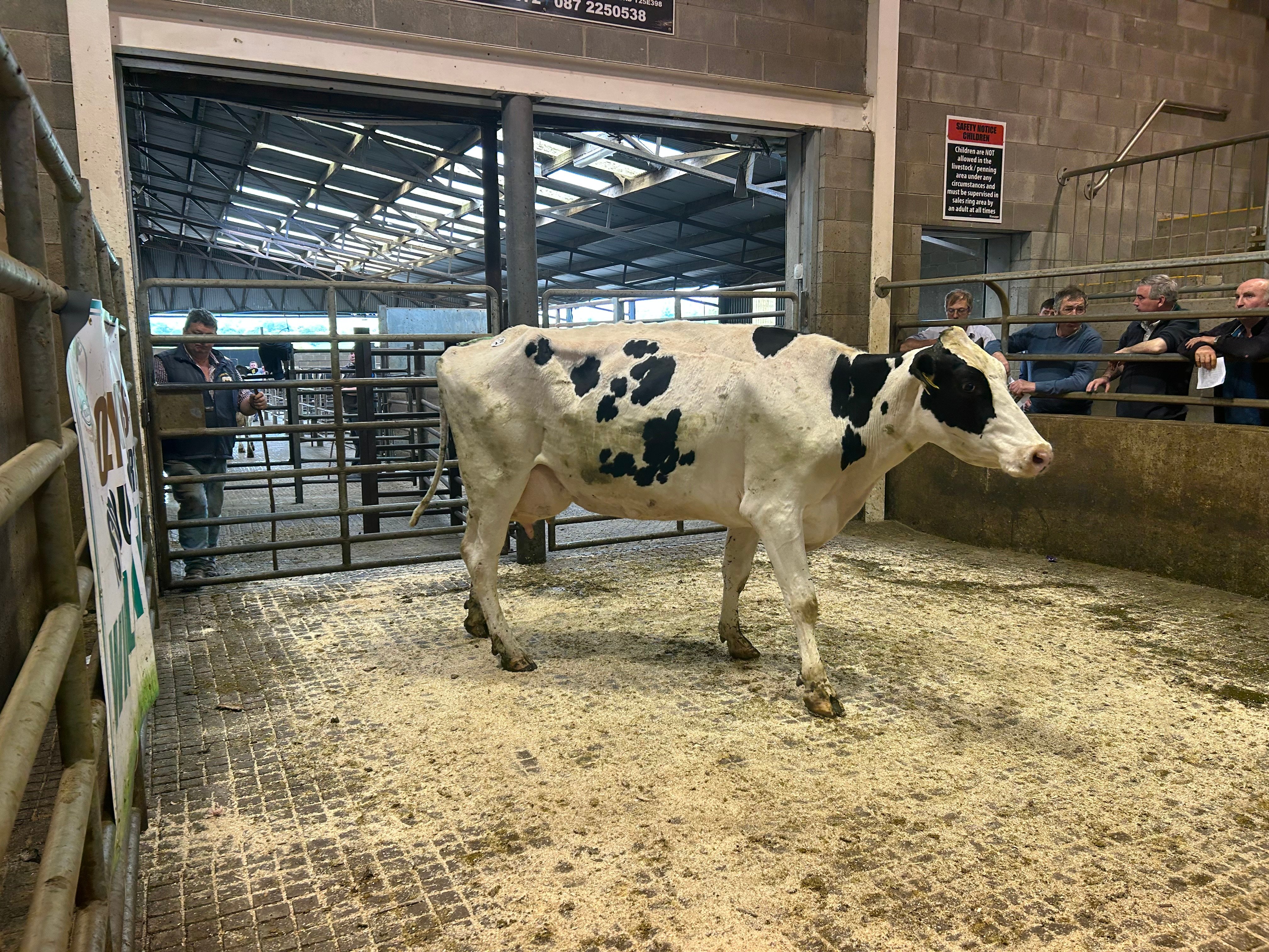 Lot 21 sold for €1,680