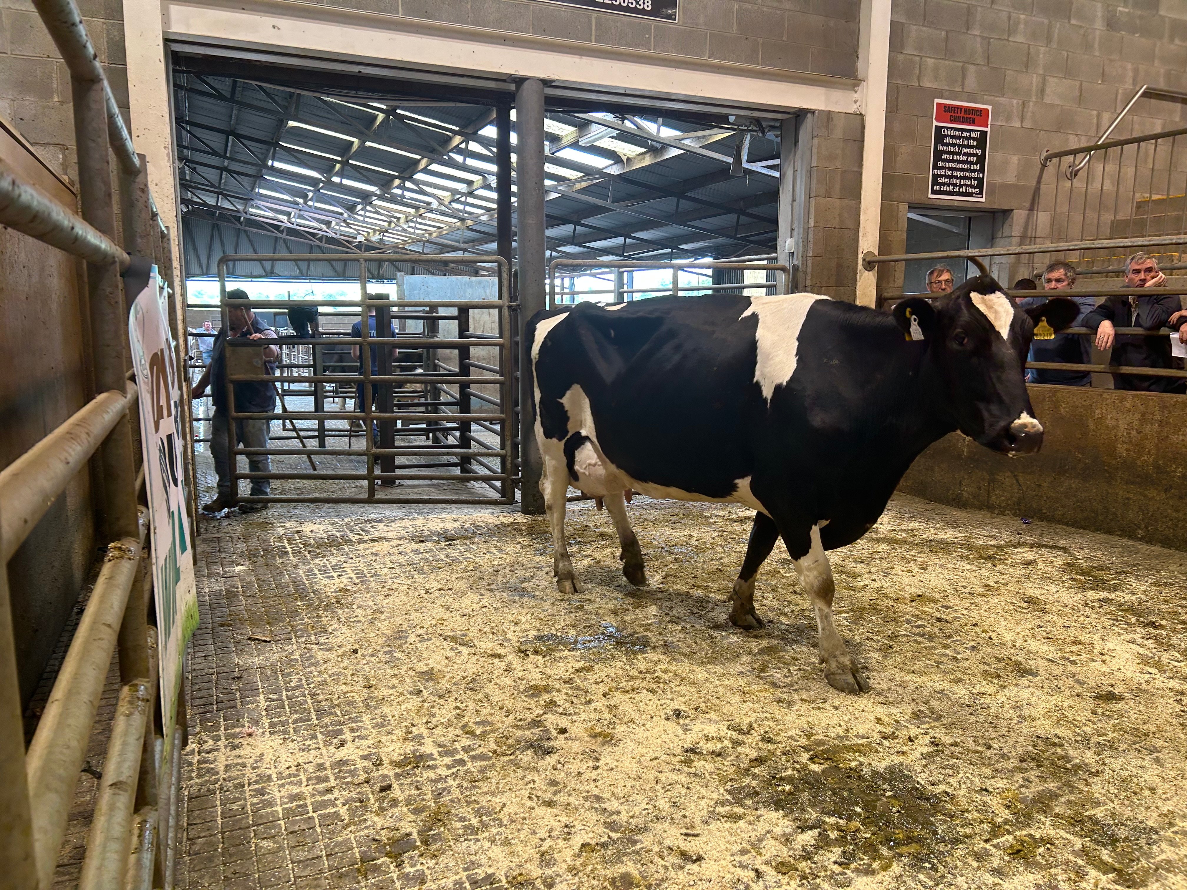 Lot 31 sold for €1,700