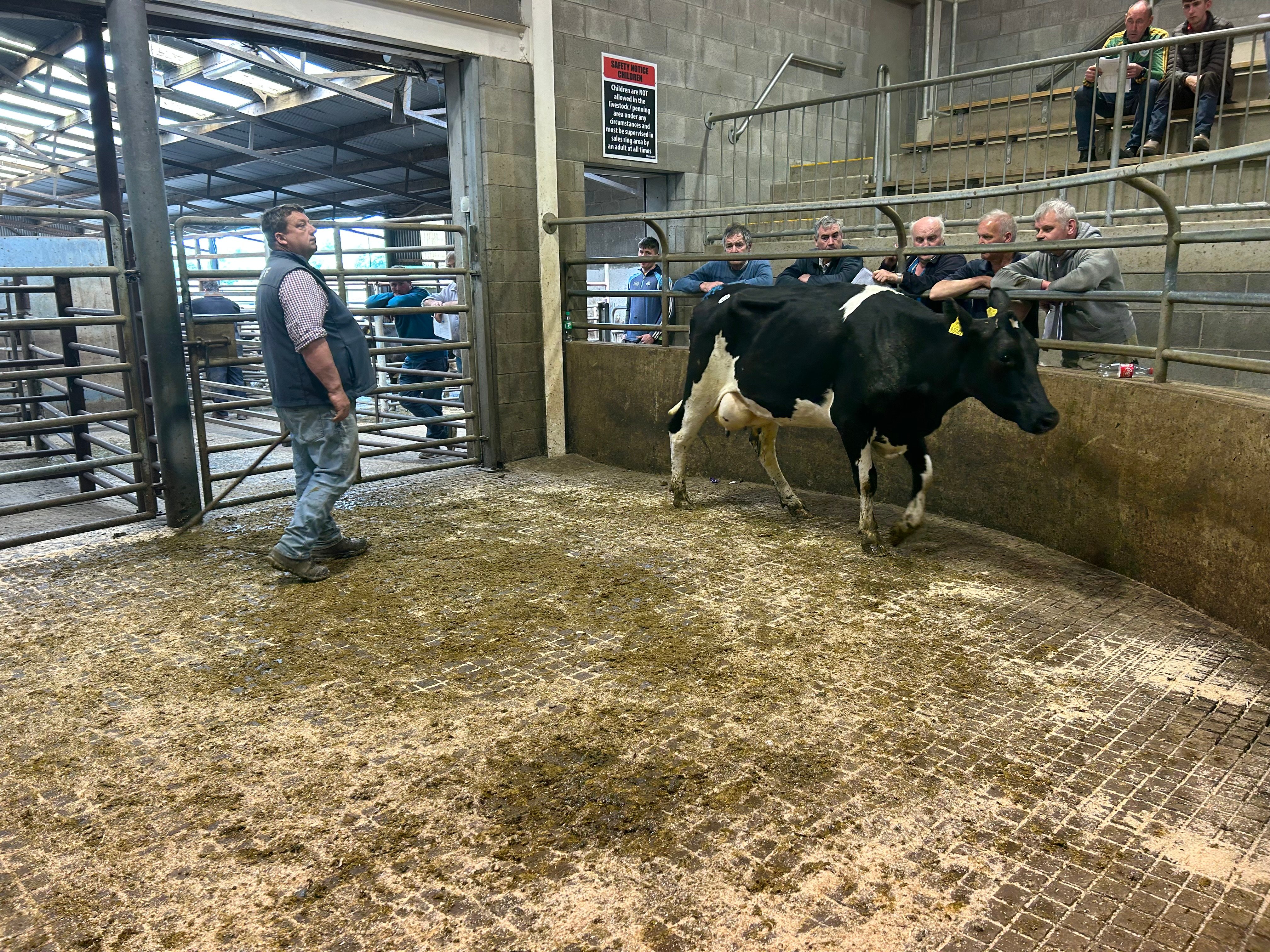 Lot 53 sold for €1,640