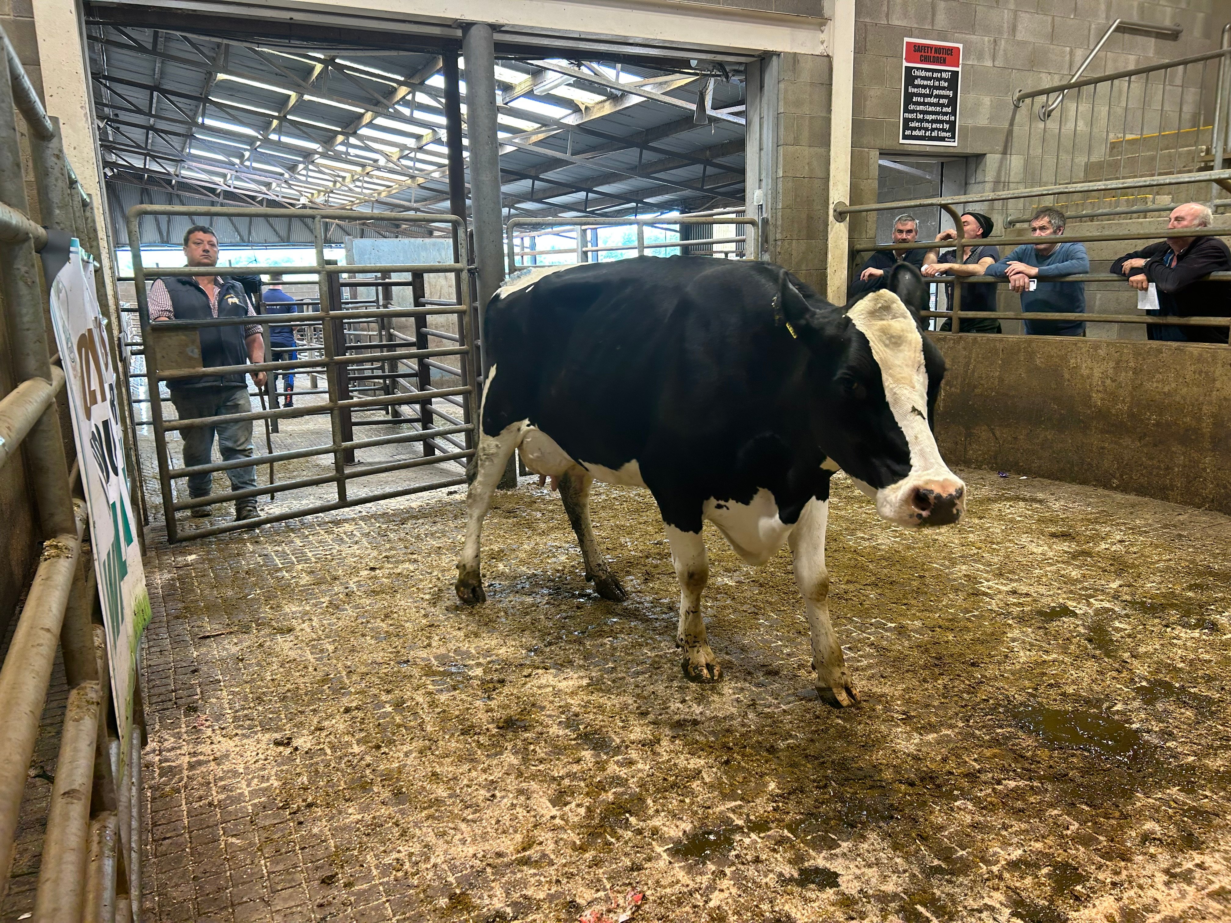 Lot 59 sold for €1,640
