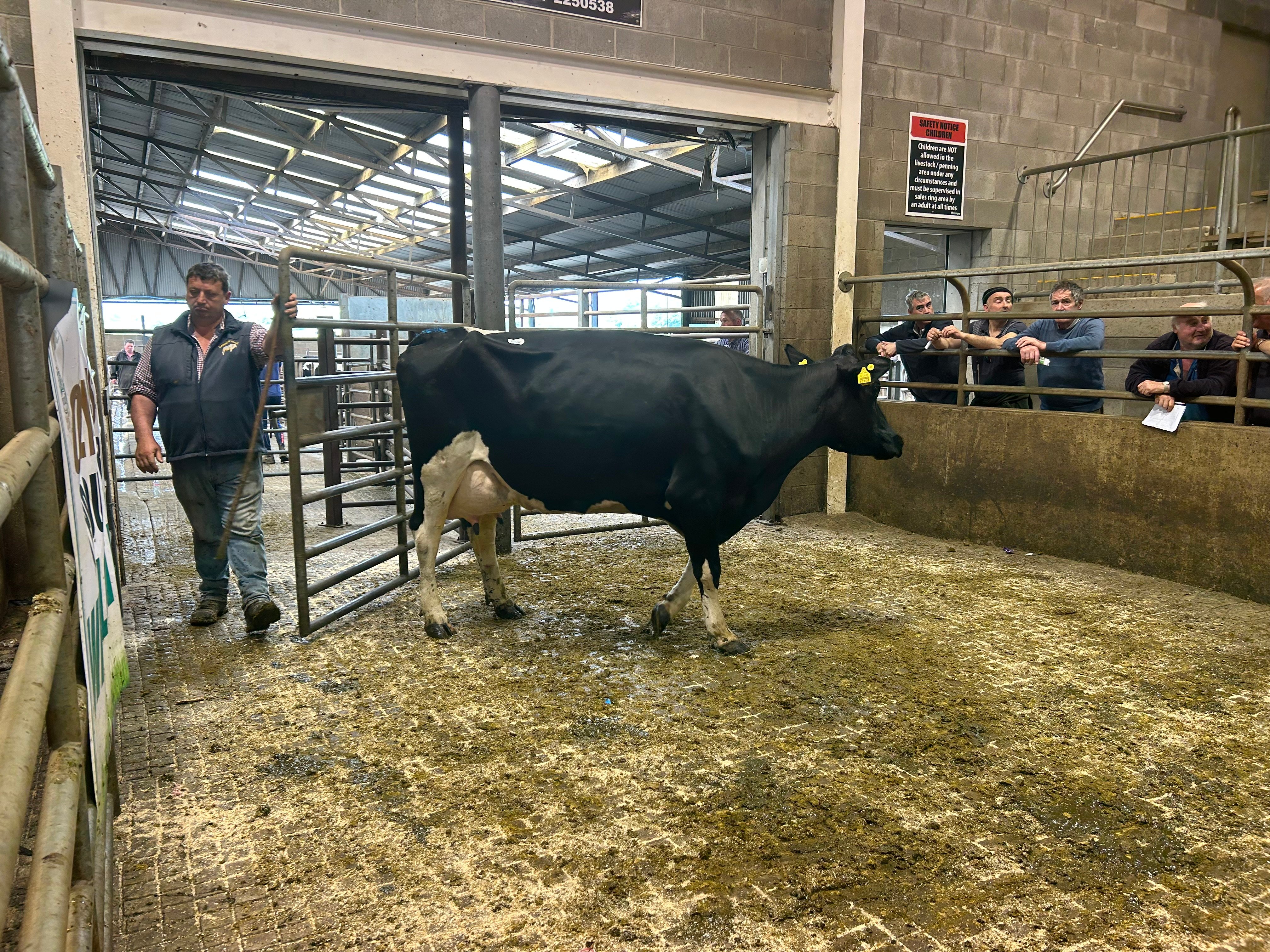 Lot 65 sold for €1,600