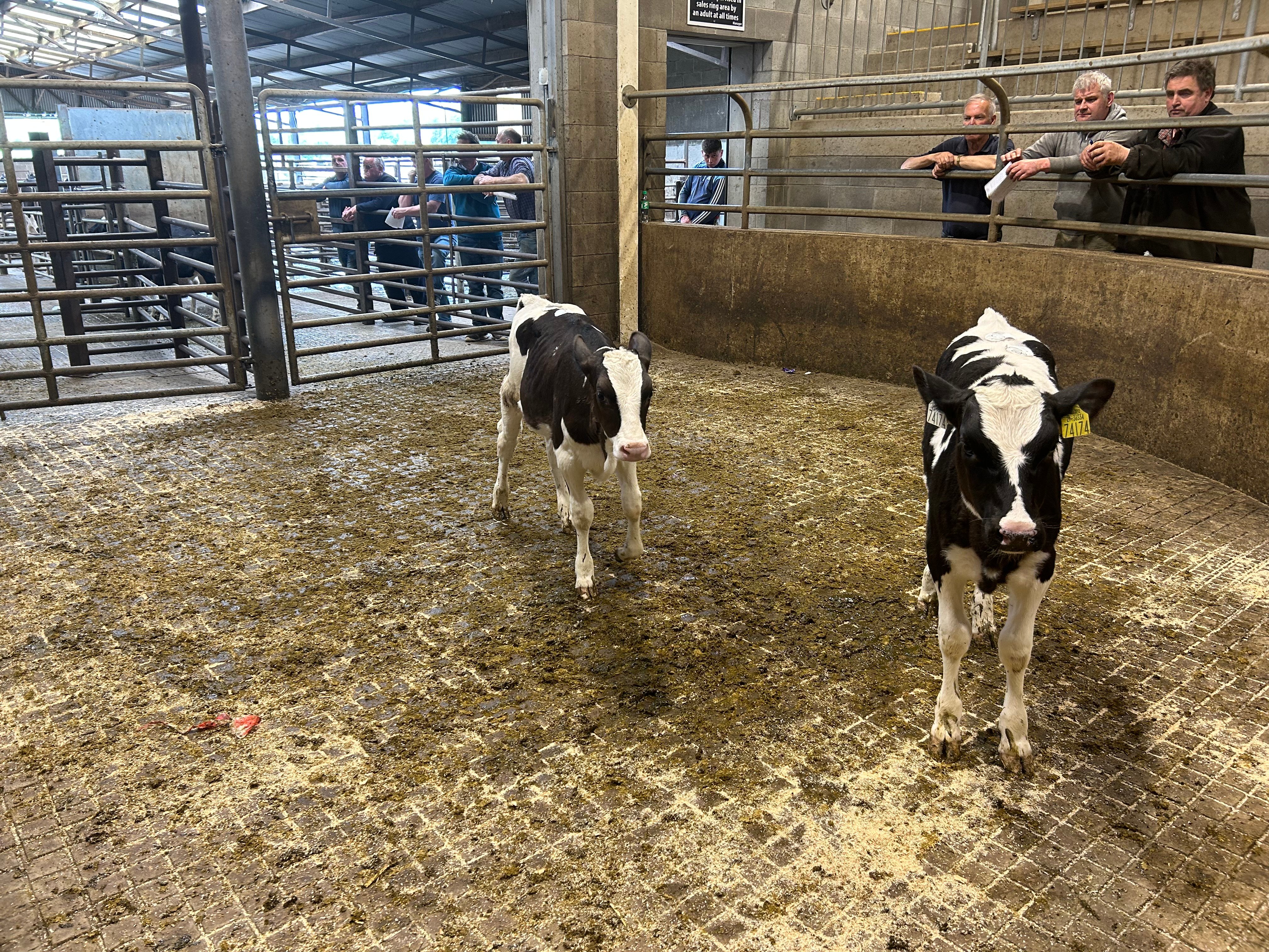 Lot 80 sold for €370