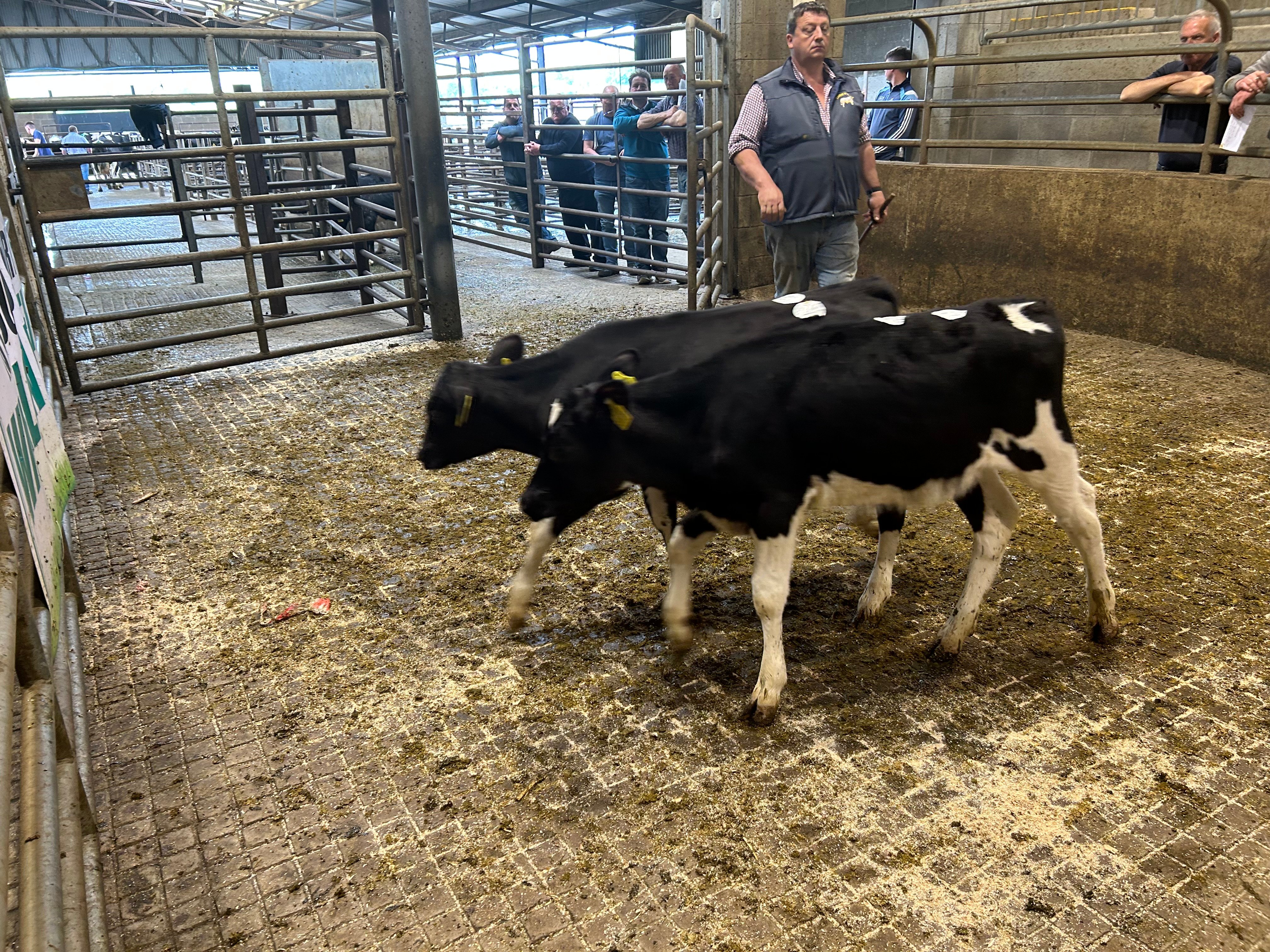 Lot 81 sold for €380
